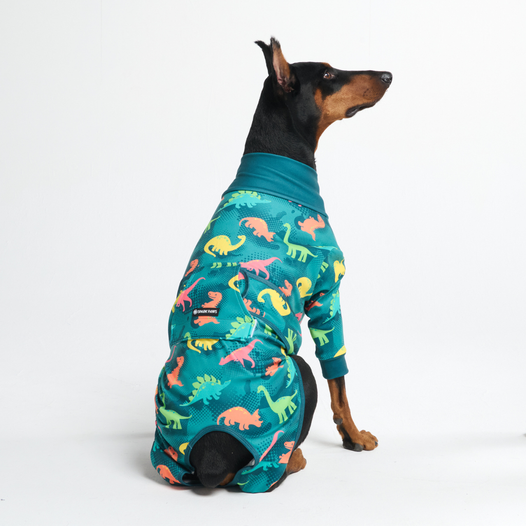 Dog Surgical Suit