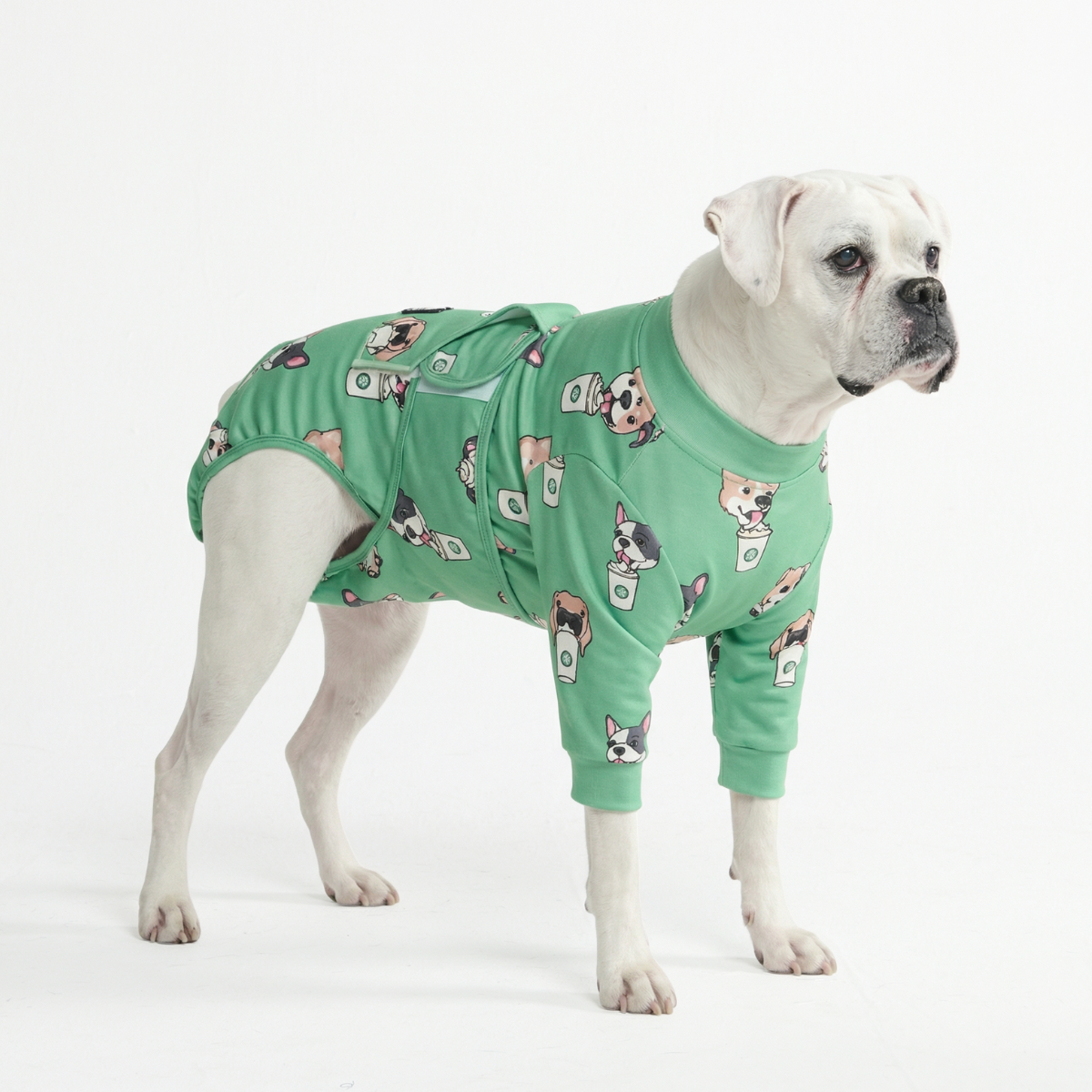 Dog Surgical Suit