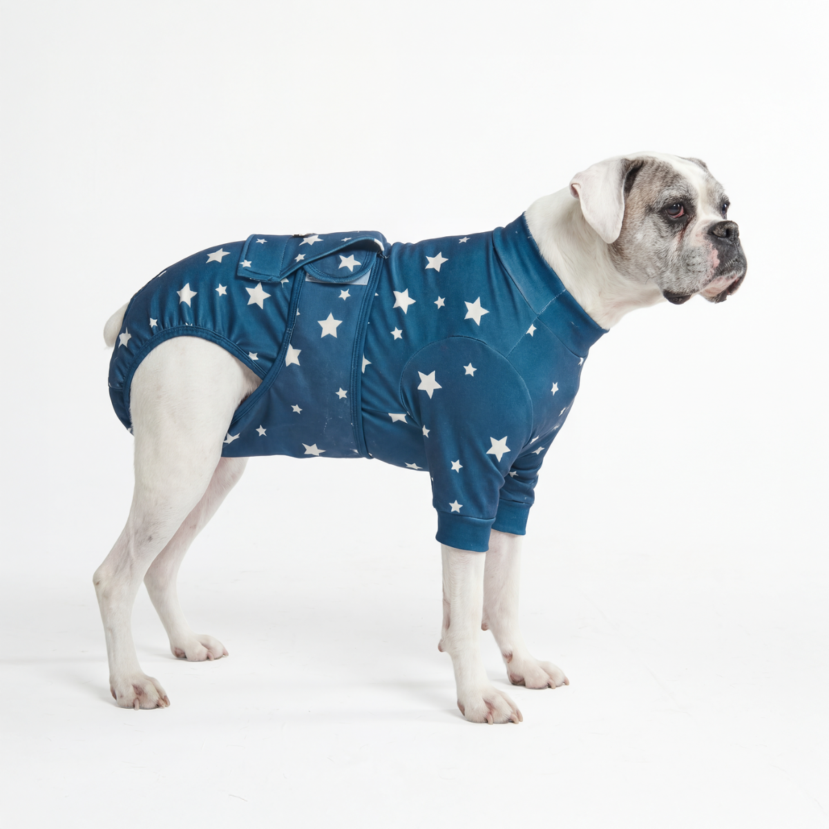 Dog Surgical Suit
