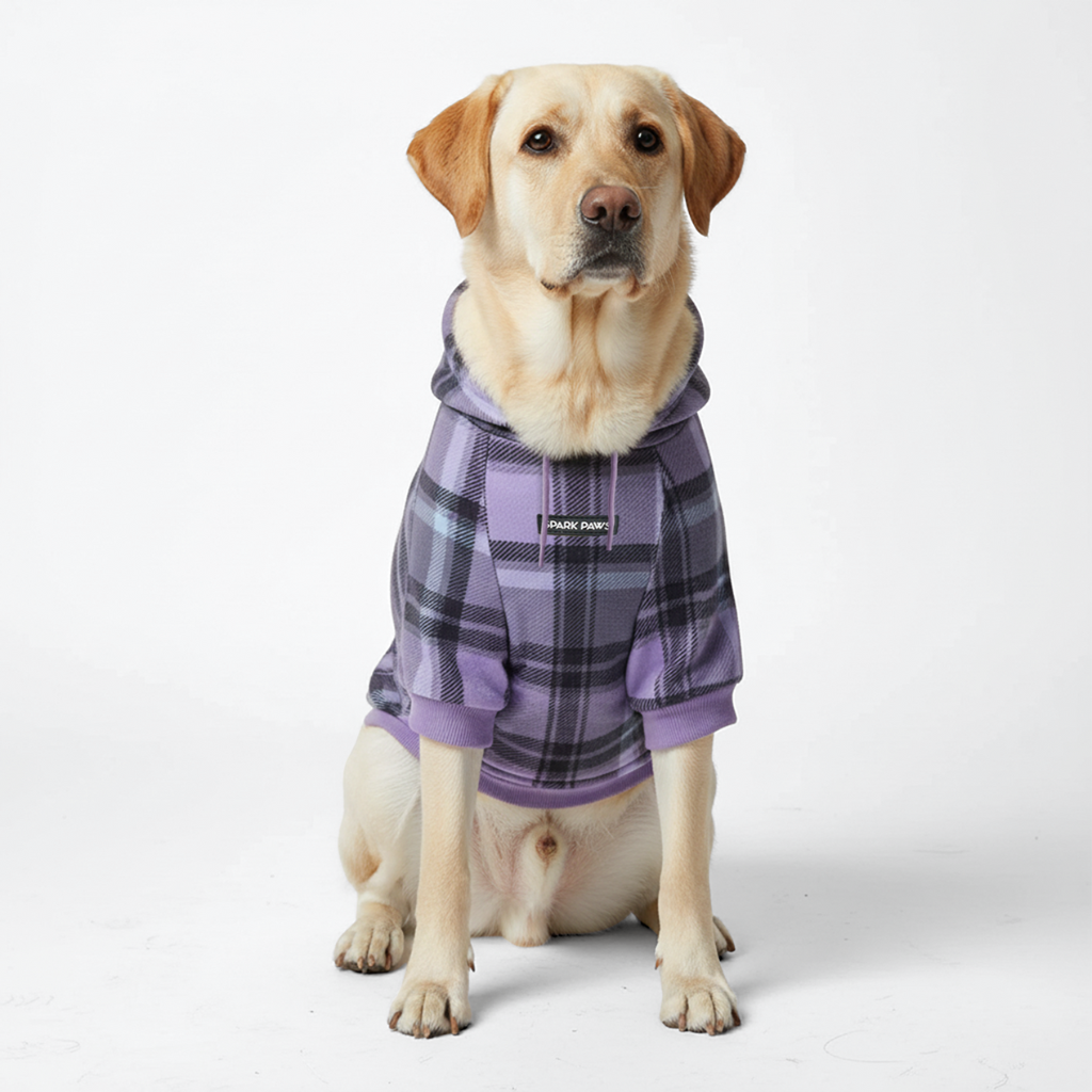 Plaid Dog Hoodies