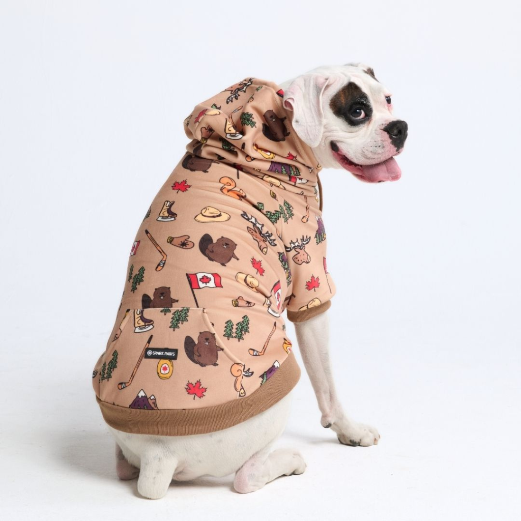 Around the World Dog Hoodies
