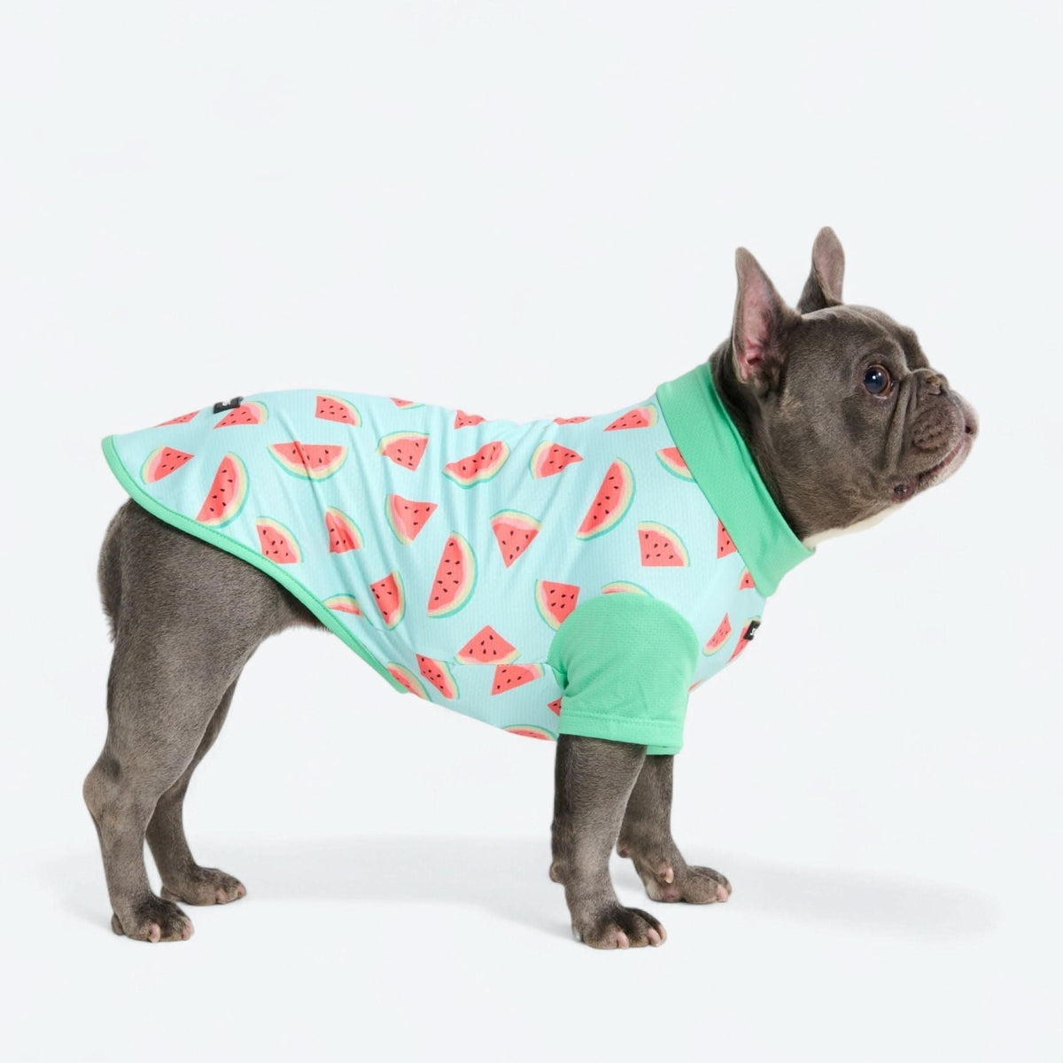 Sunblock Dog T-Shirt - Prints