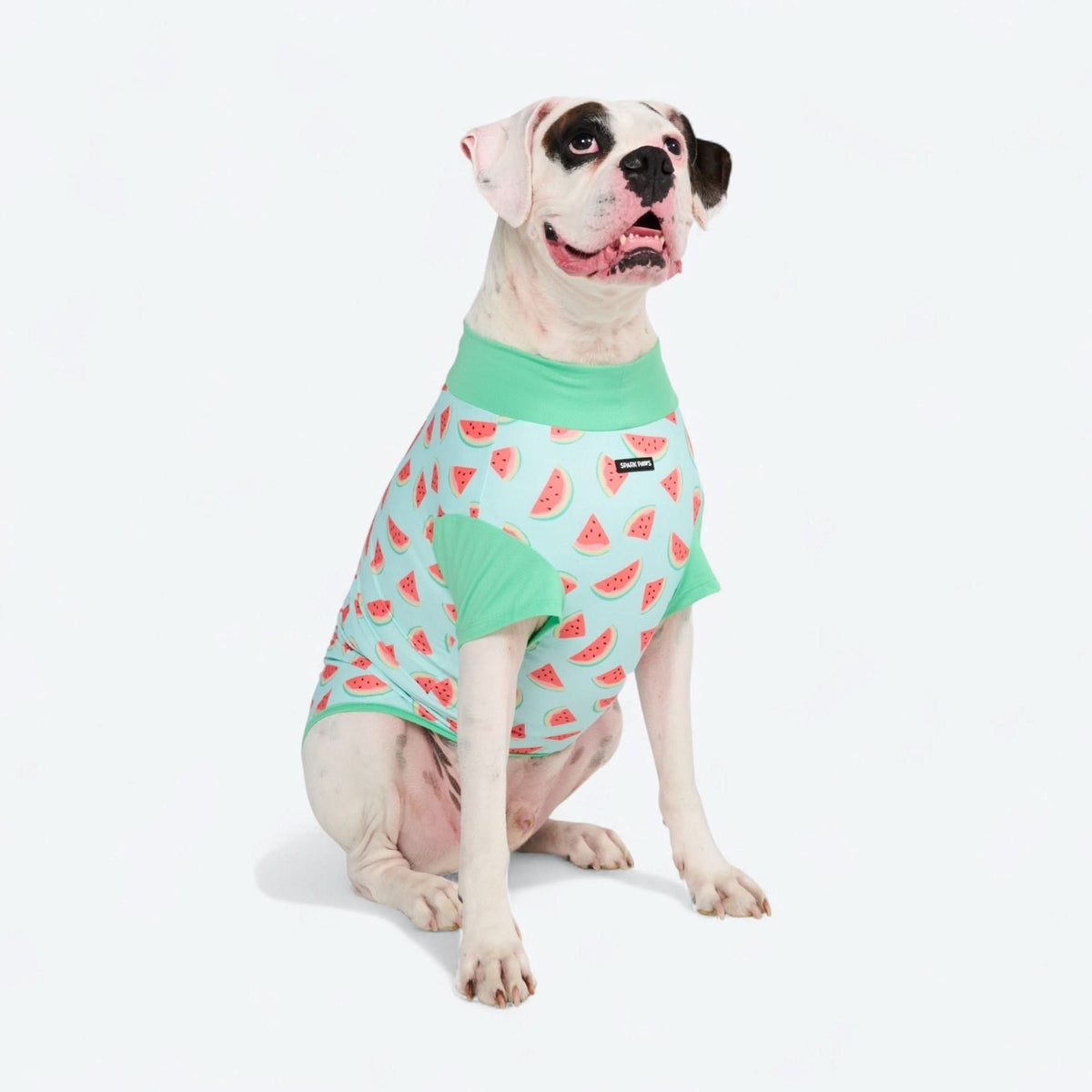 Sunblock Dog T-Shirt - Prints