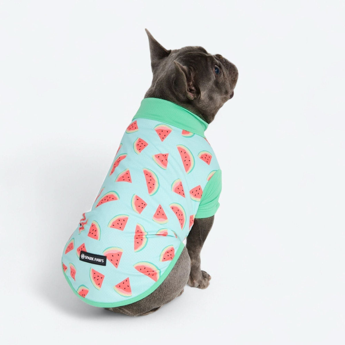 Sunblock Dog T-Shirt - Prints