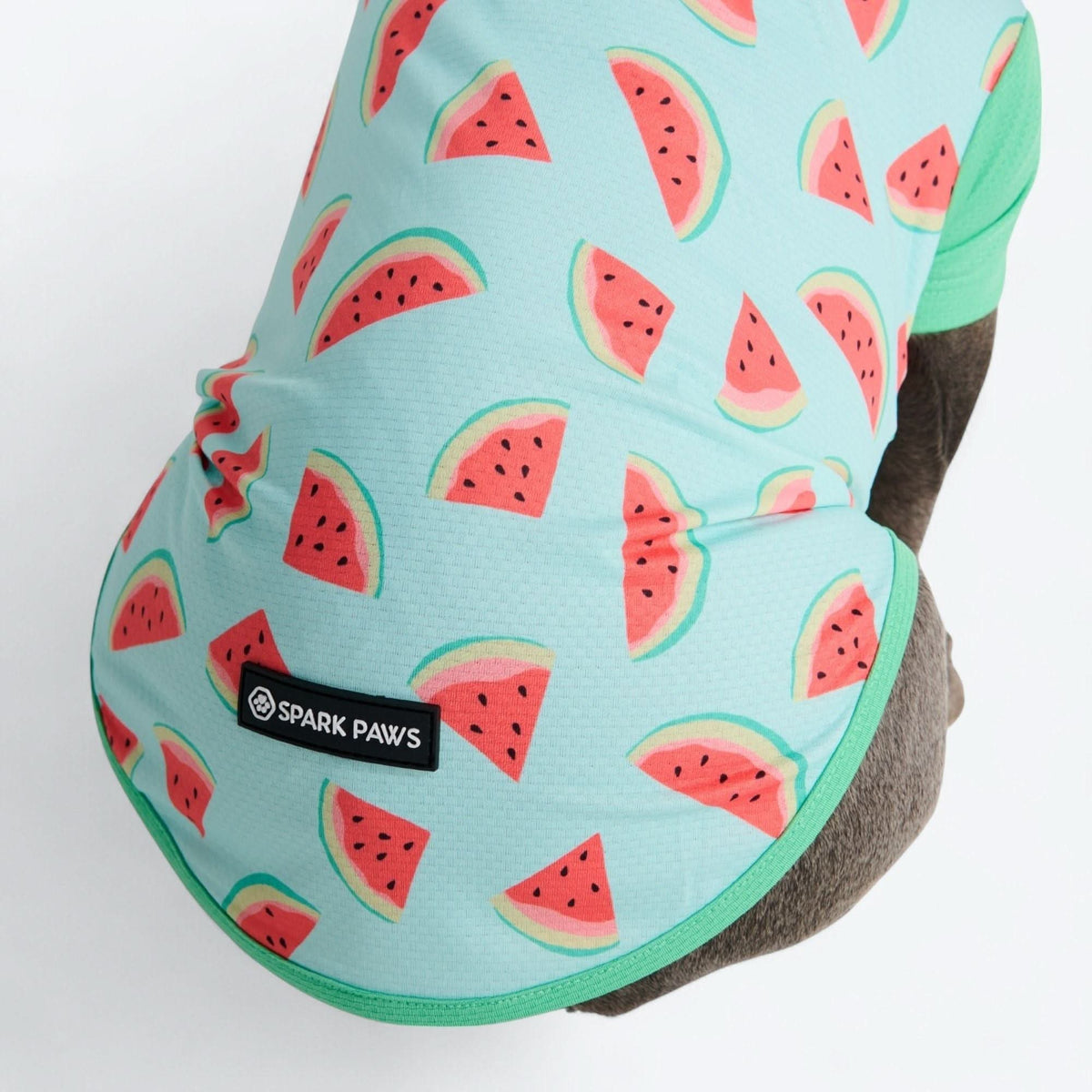 Sunblock Dog T-Shirt - Prints