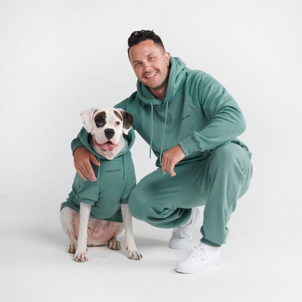 Essential Dog Hoodies