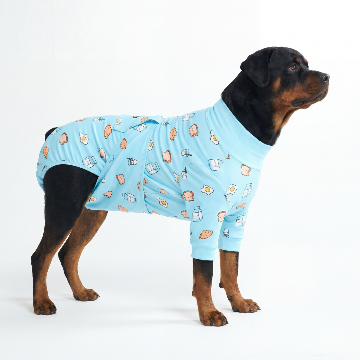 Dog Surgical Suit
