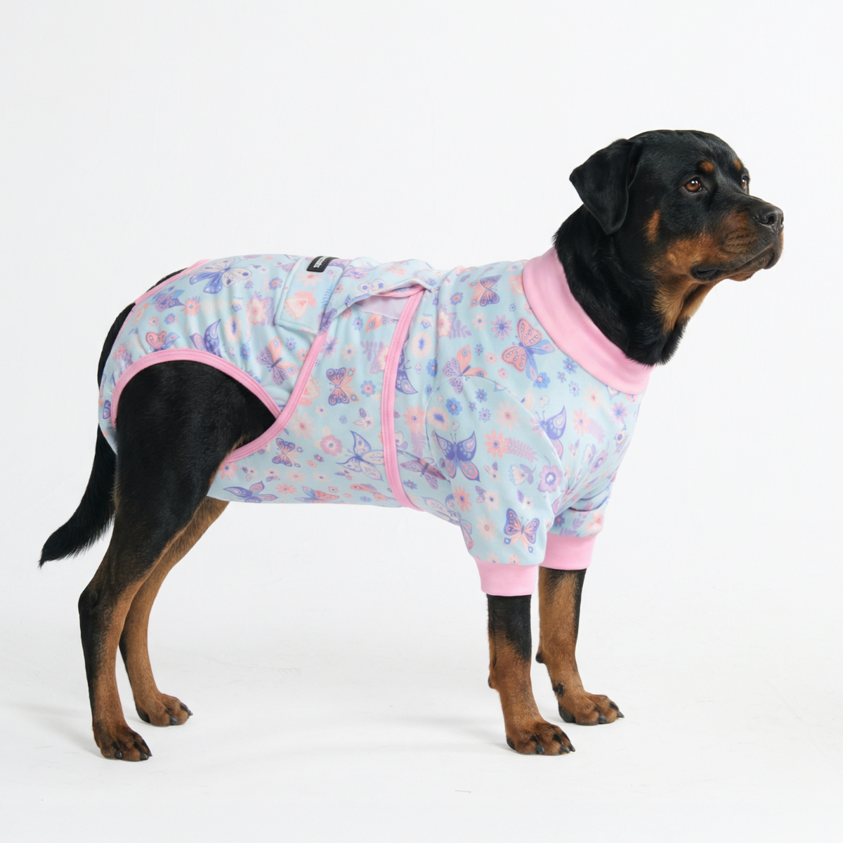 Dog Surgical Suit