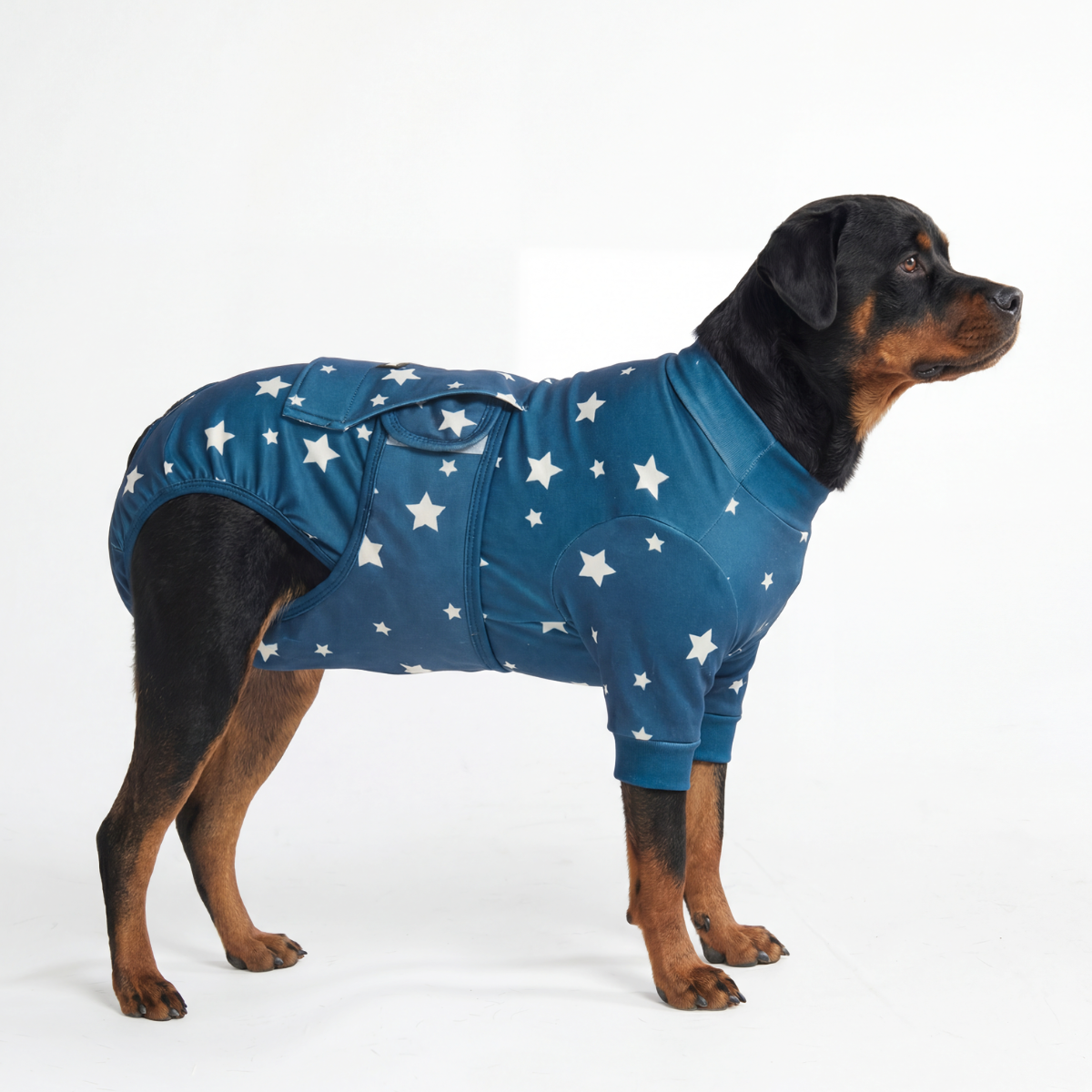 Dog Surgical Suit