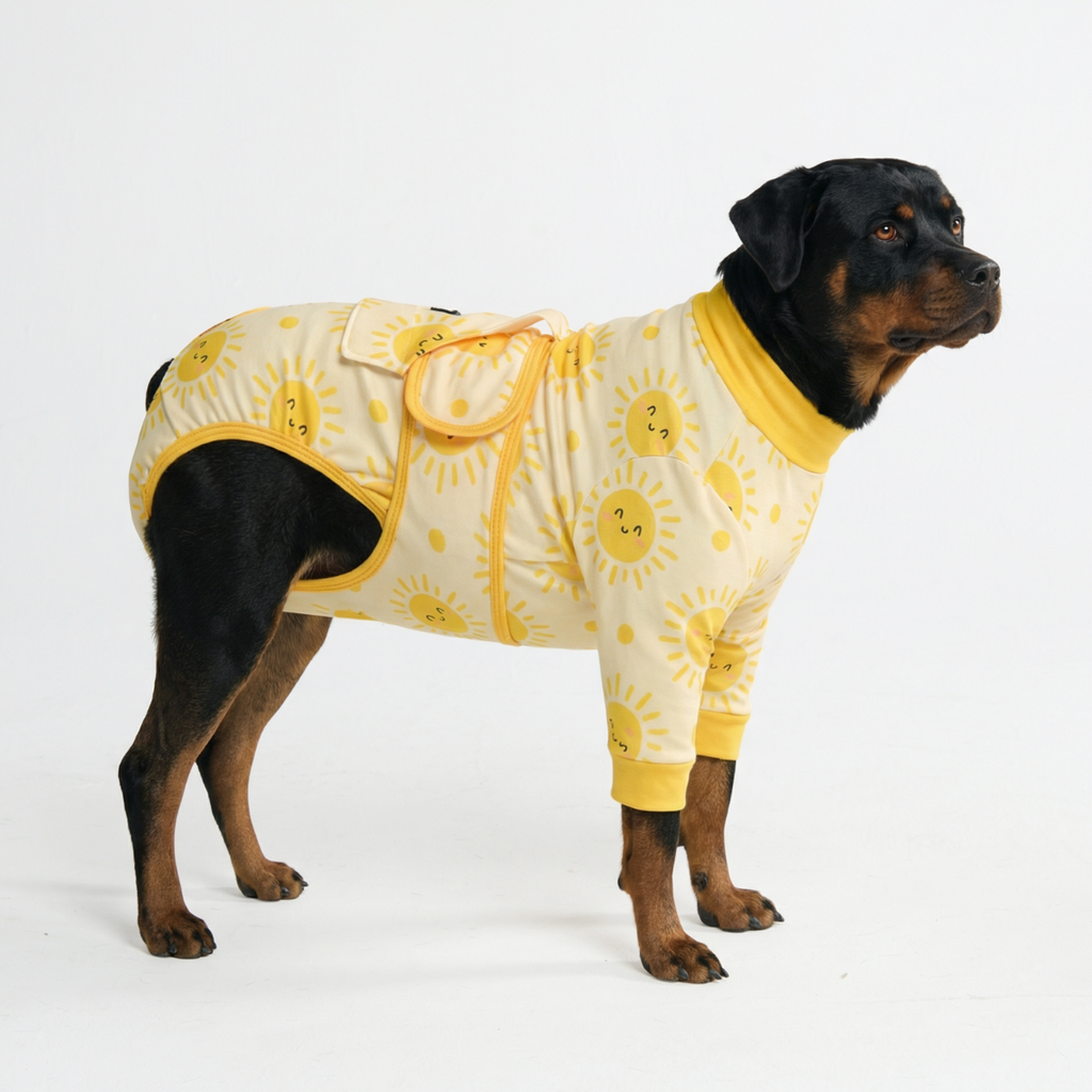 Dog Surgical Suit