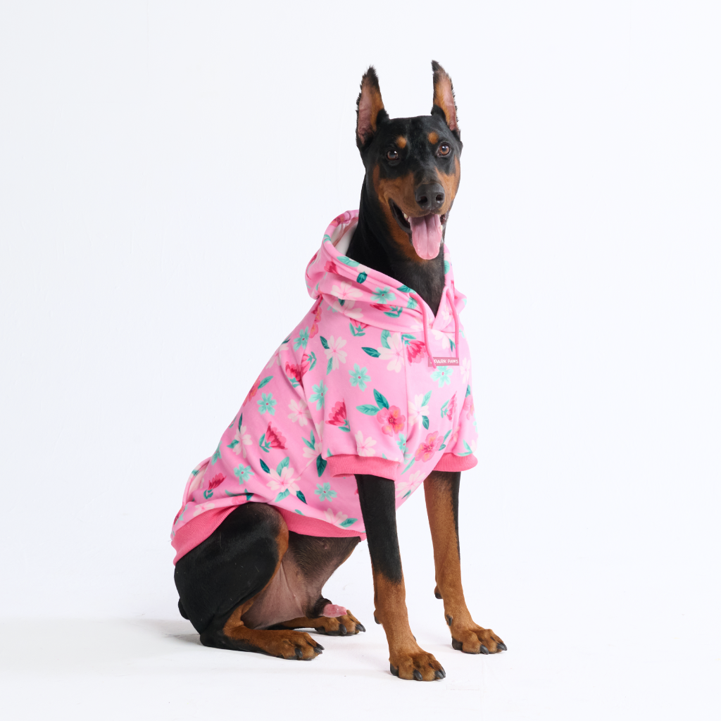 Dog Hoodie Prints