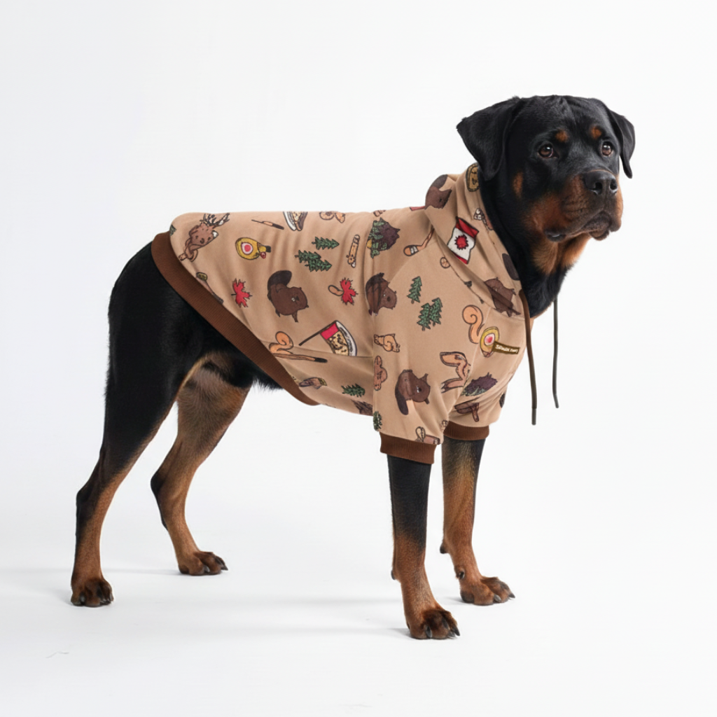Around the World Dog Hoodies