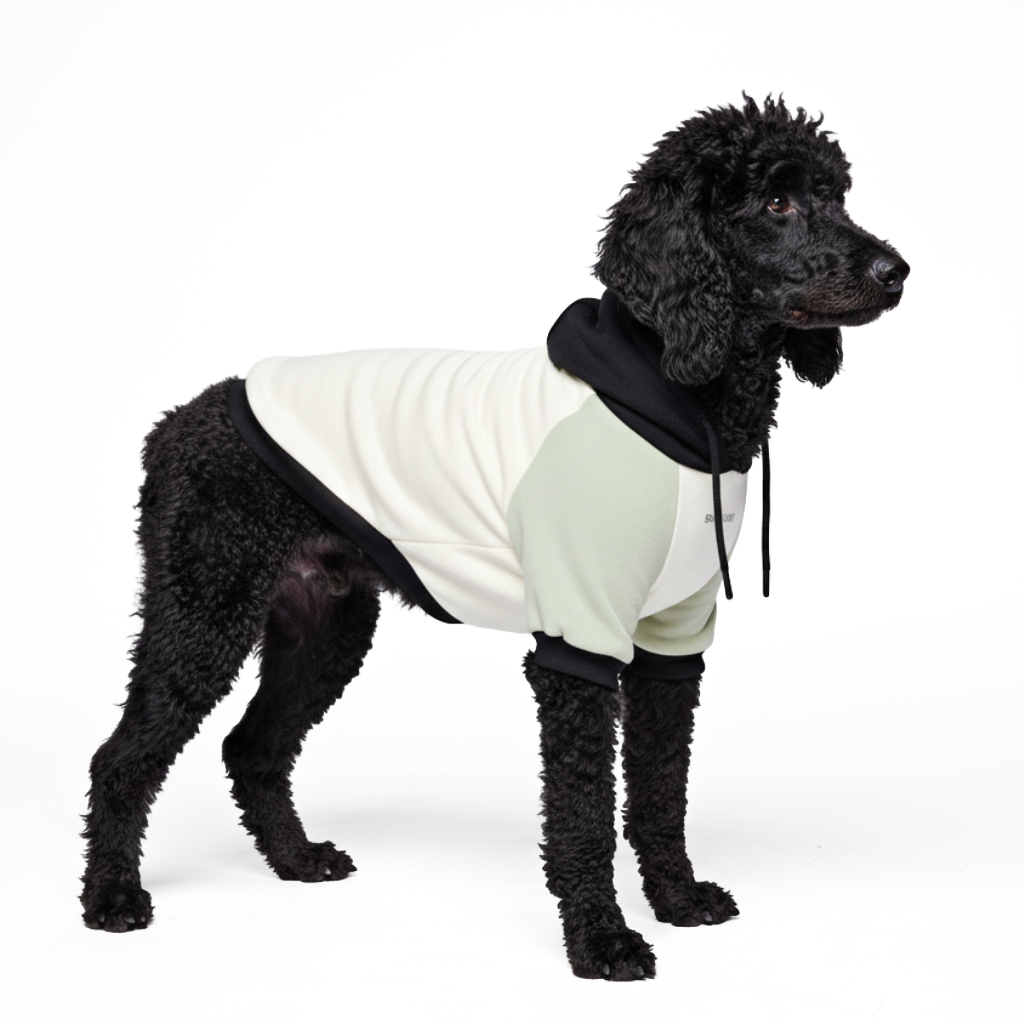 Color Block Dog Hoodies