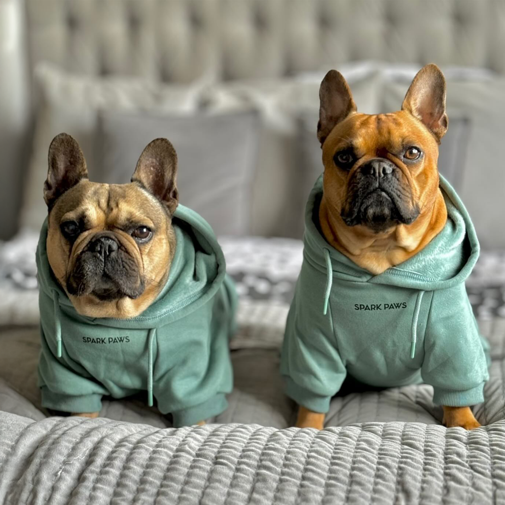 Essential Dog Hoodies