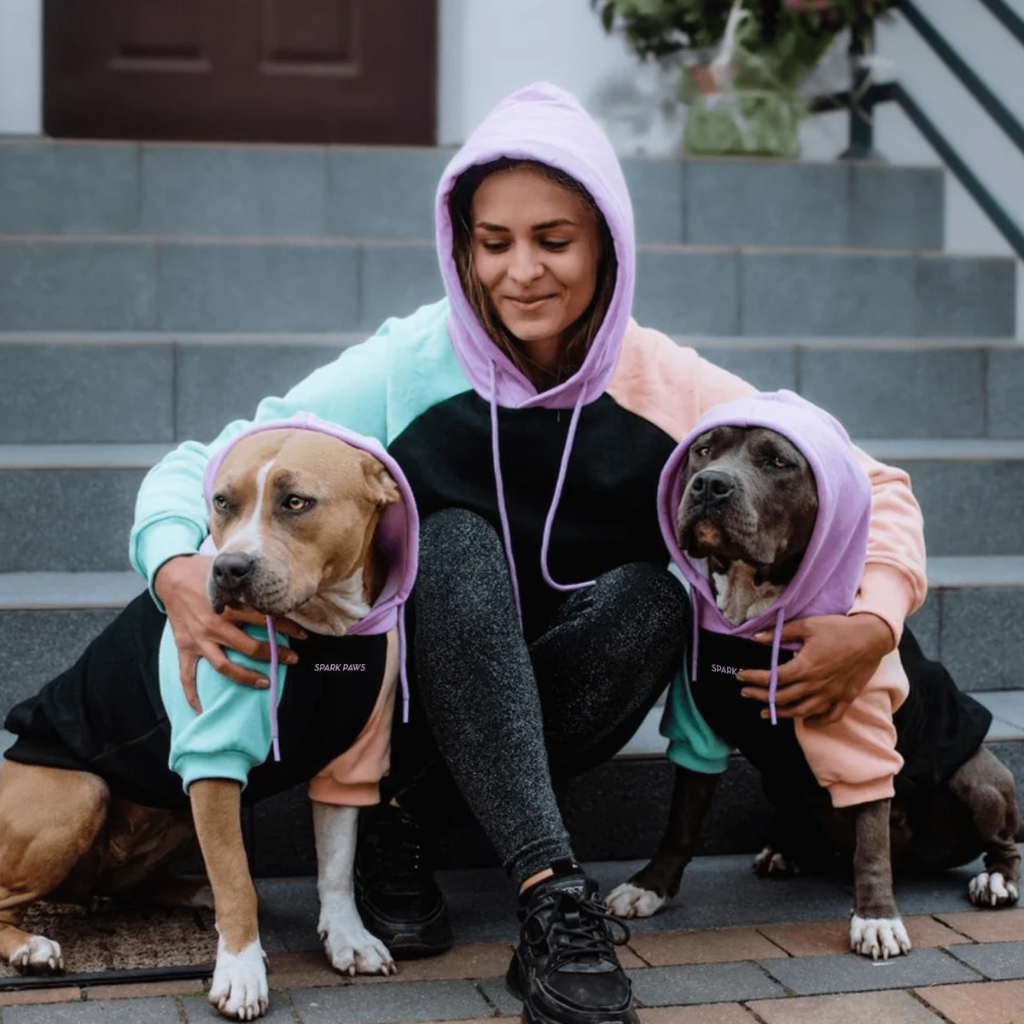 Color Block Dog Hoodies