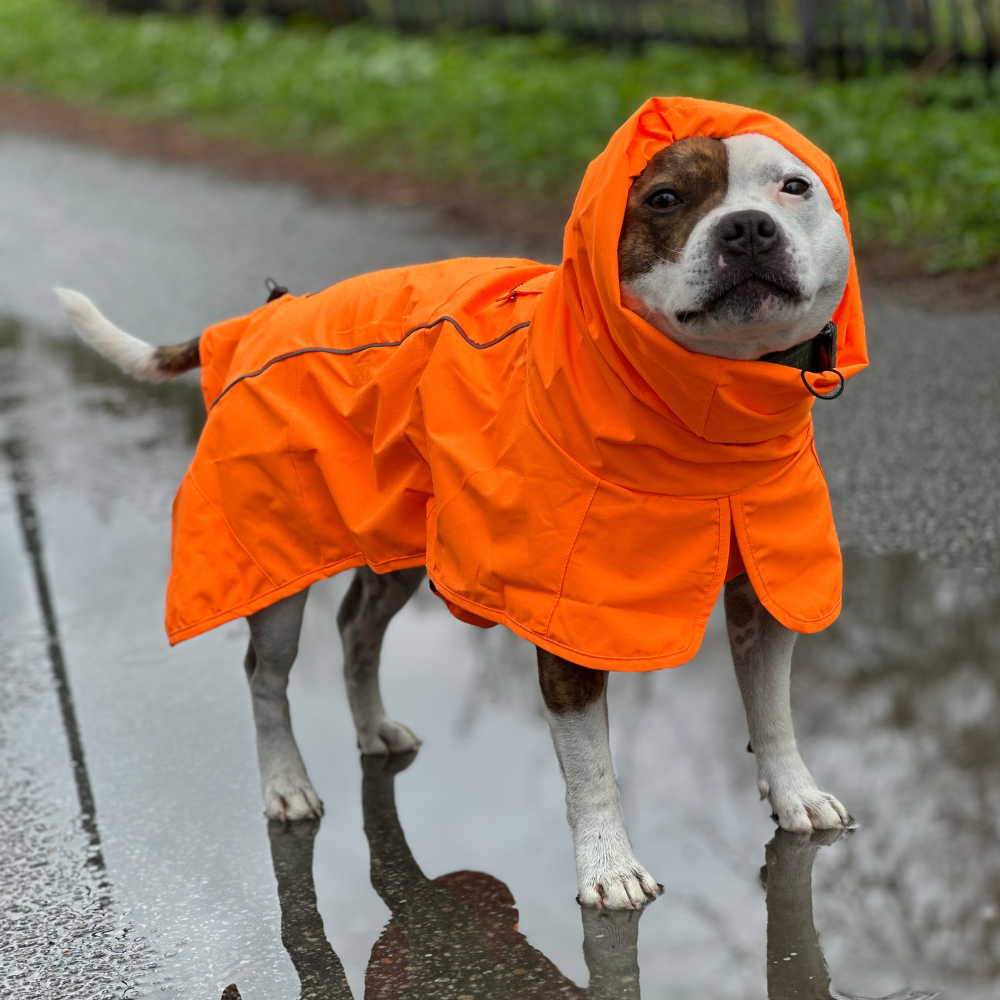 Breatheshield™ Dog Raincoats