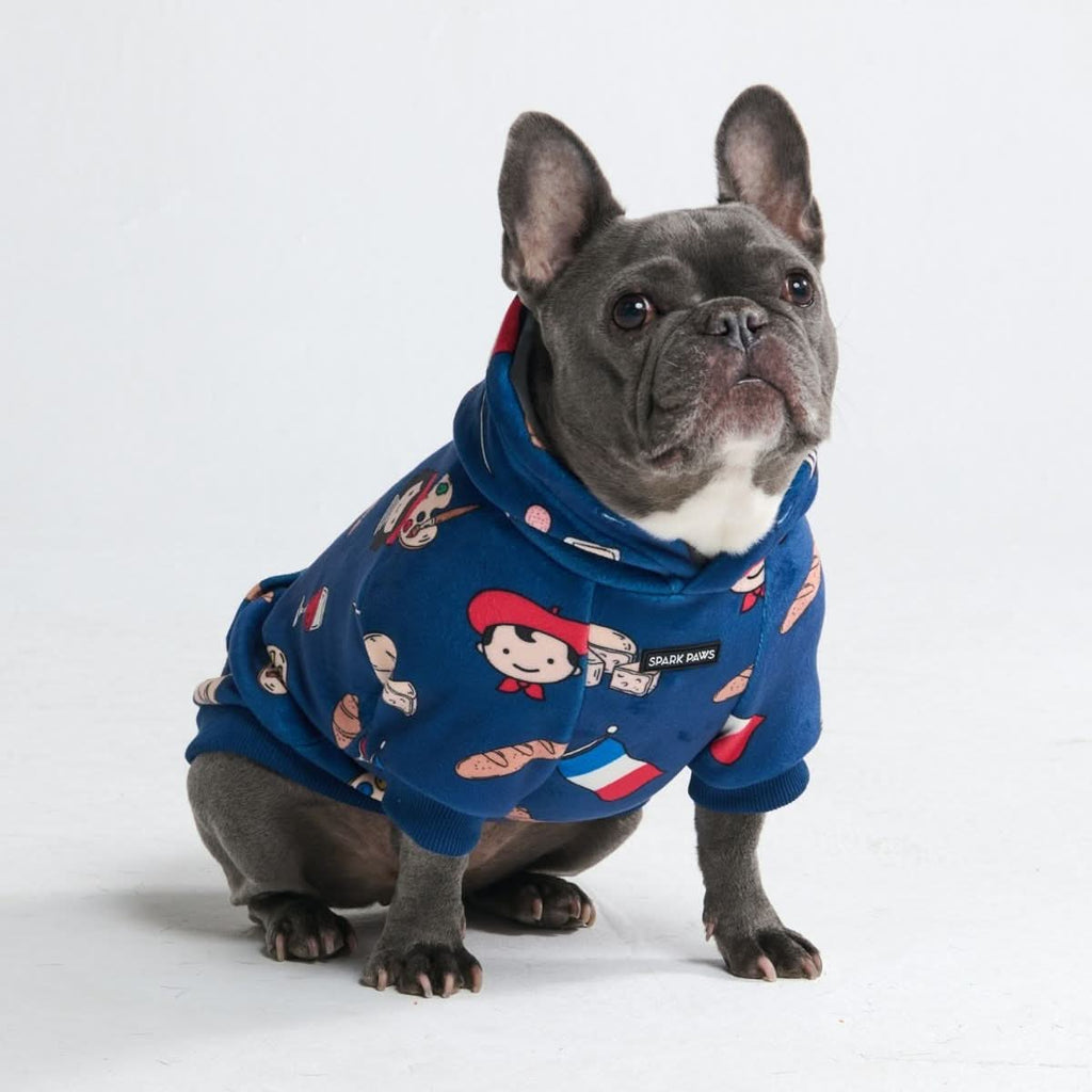Around the World Dog Hoodies