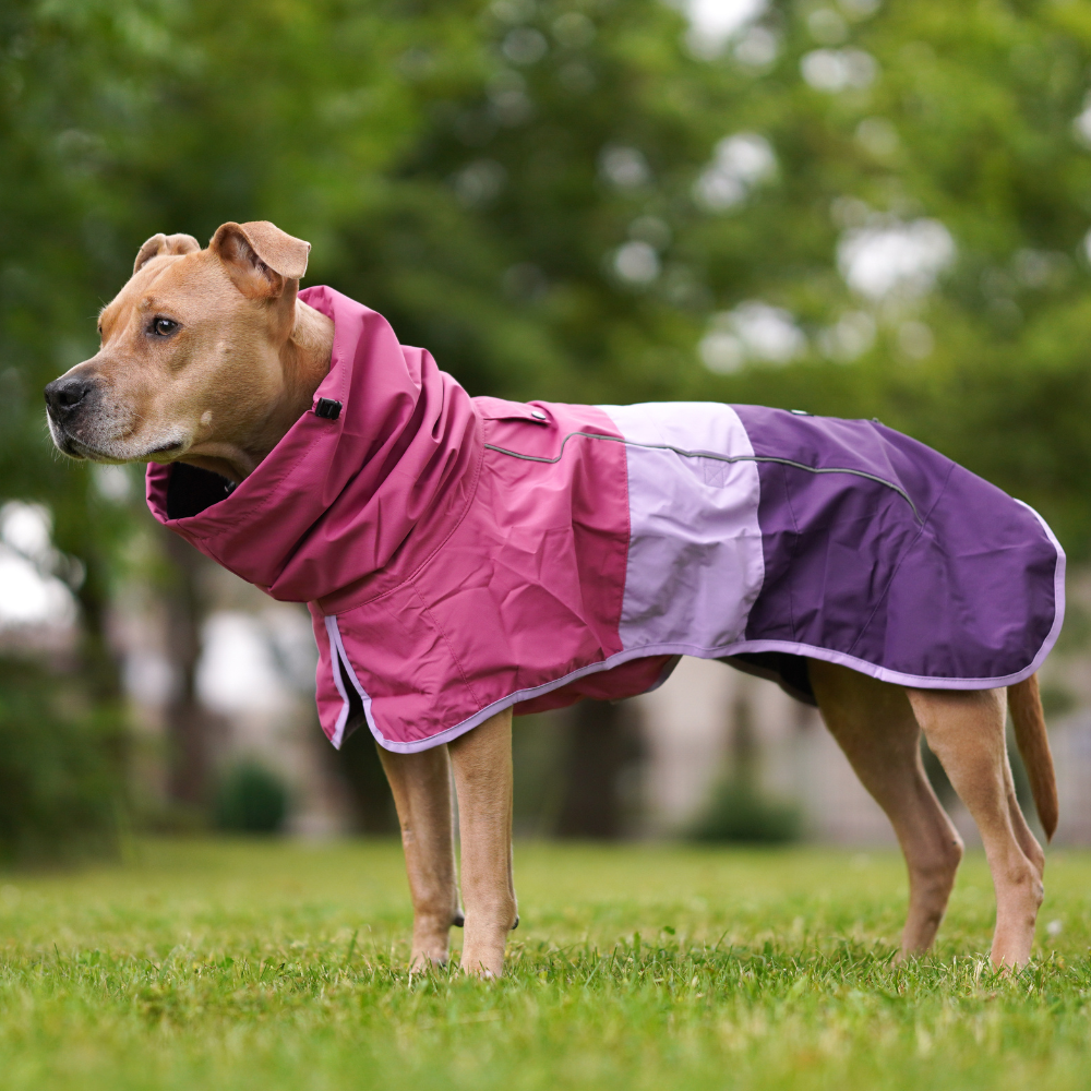 Breatheshield™ Dog Raincoats