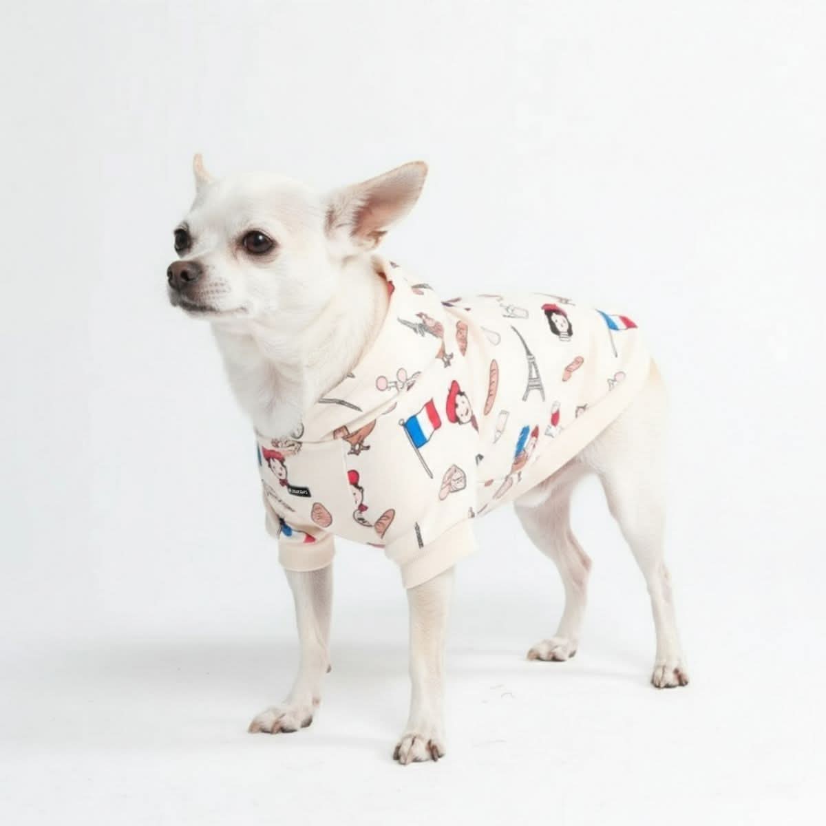 Around the World Dog Hoodies