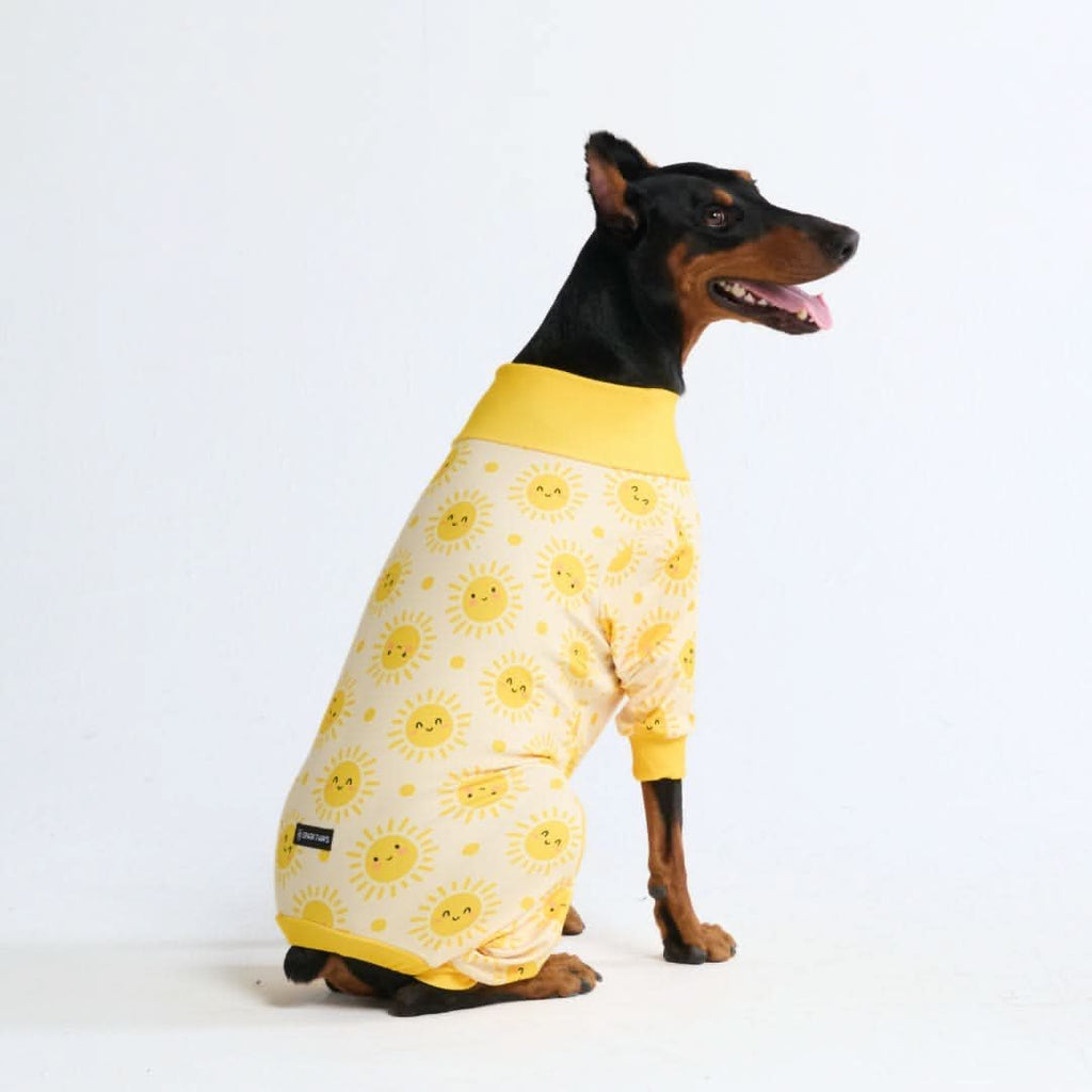 Dog Pajama Prints