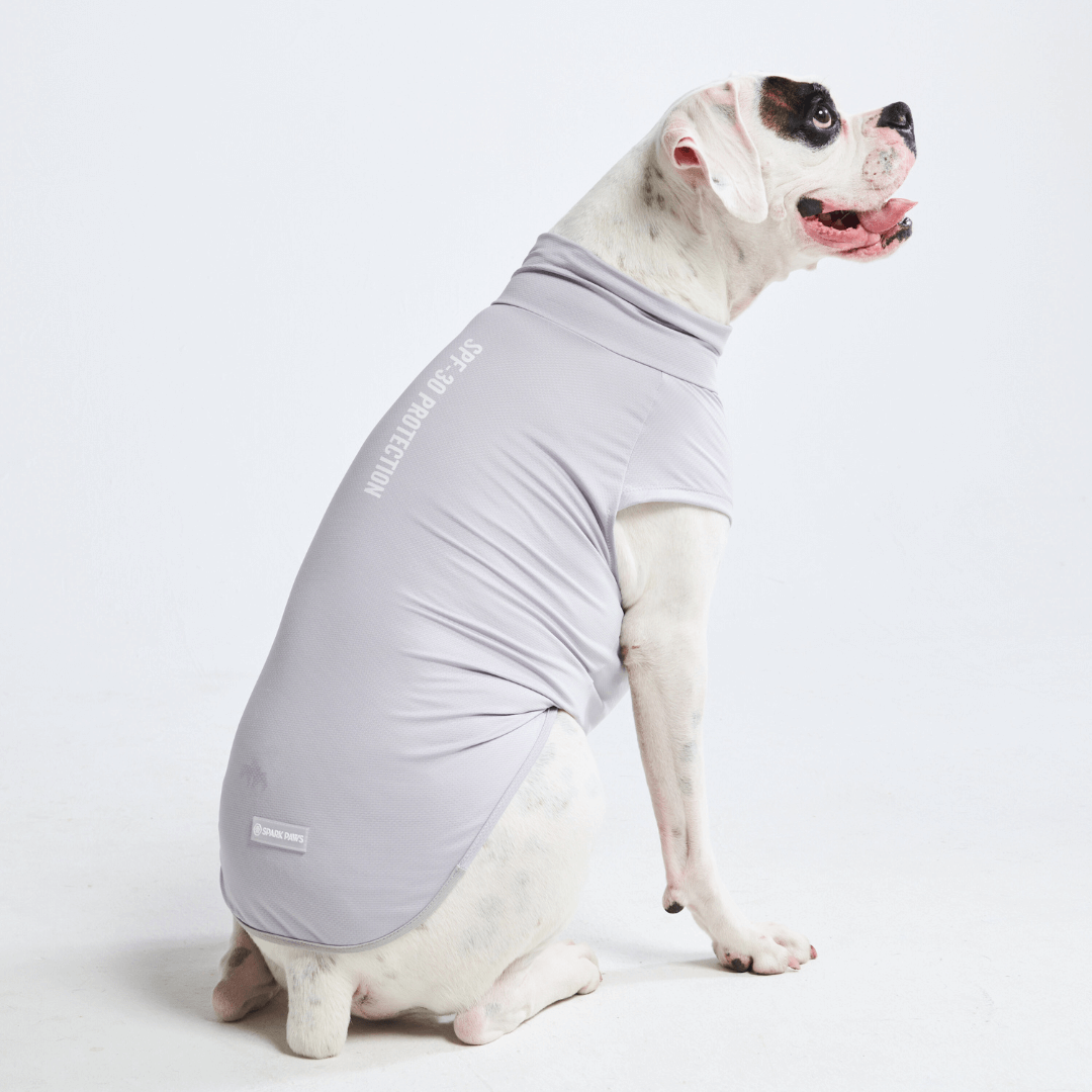 Sunblock Dog T-Shirts