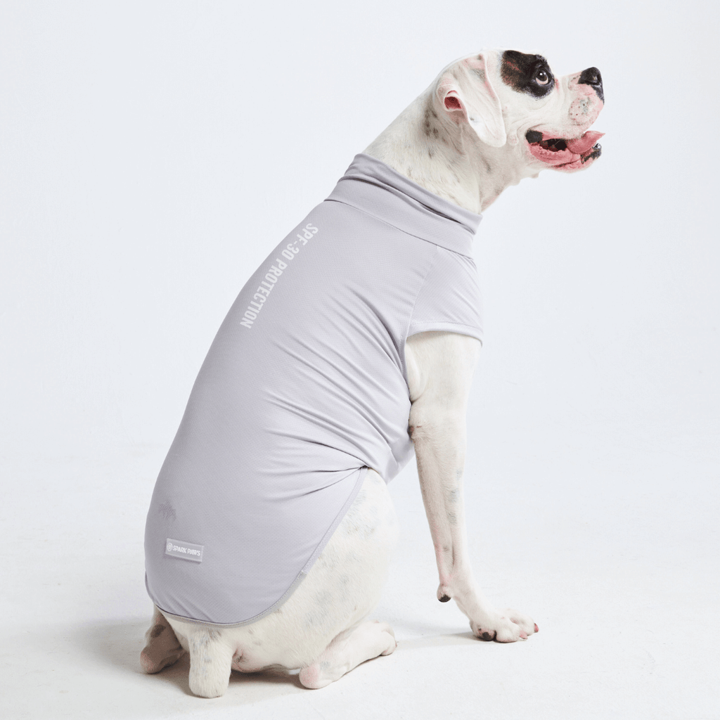 Sunblock Dog T-Shirts