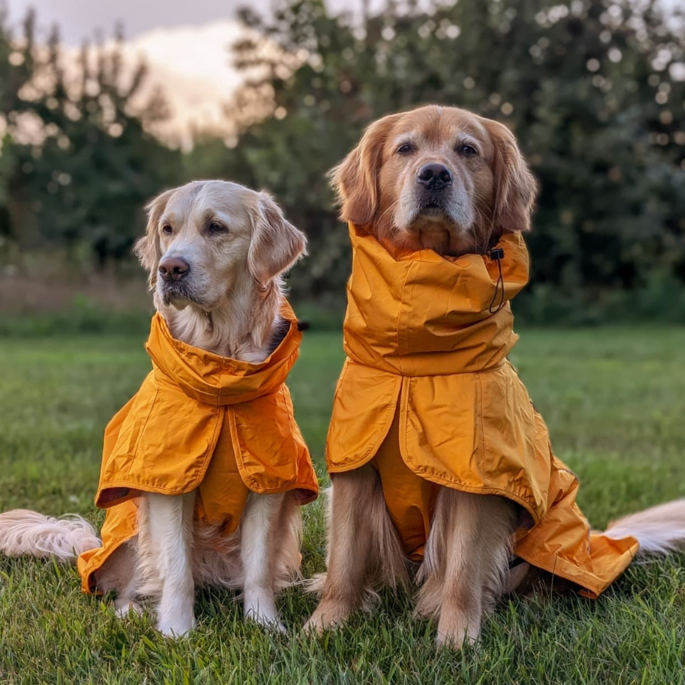 Breatheshield™ Dog Raincoats