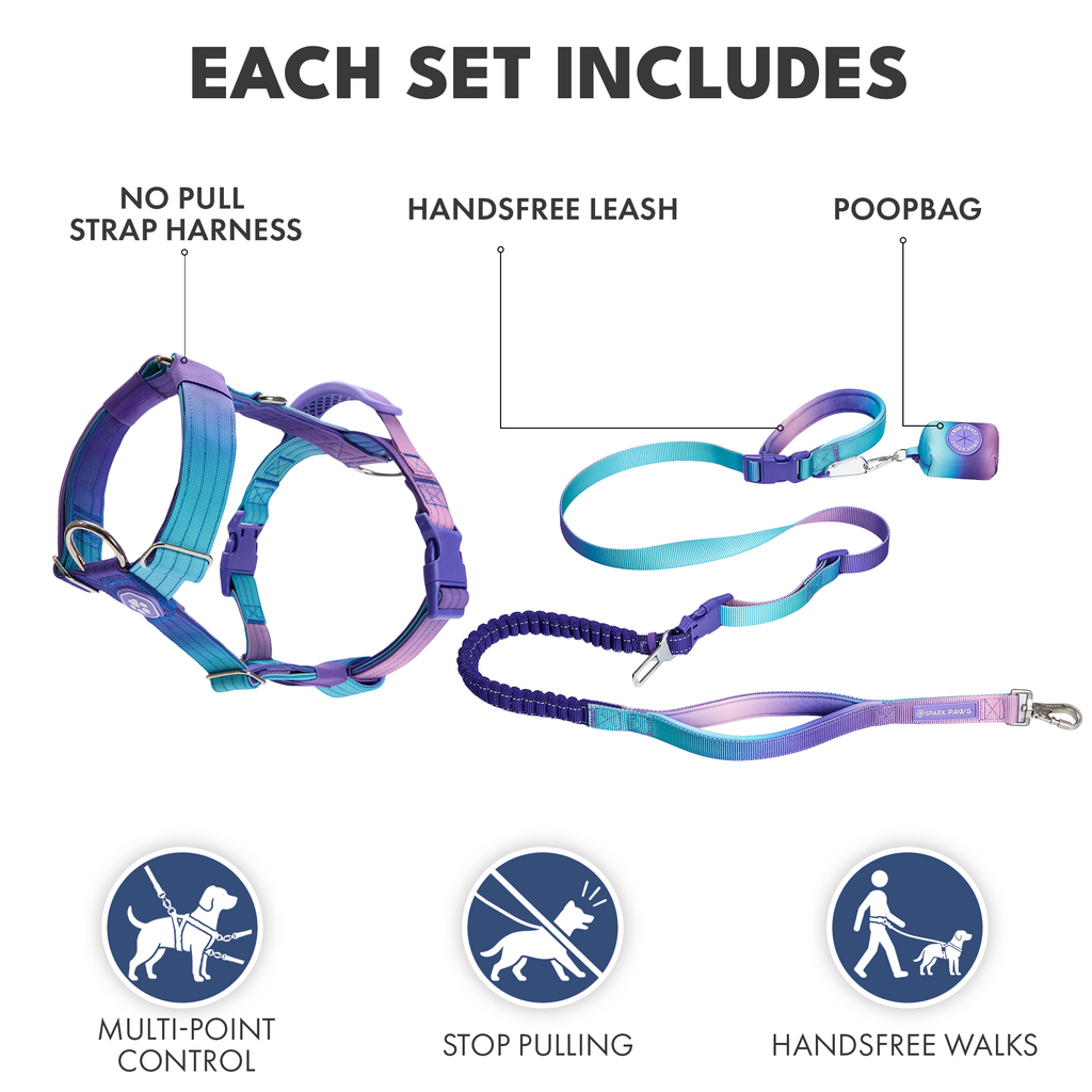 Comfort Control No-Pull Dog Harness and Multipurpose Leash Sets