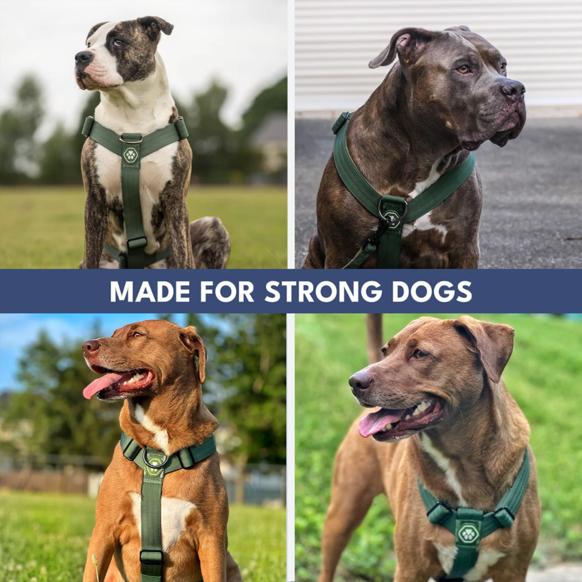 Comfort Control No-Pull Dog Harness and Multipurpose Leash Sets