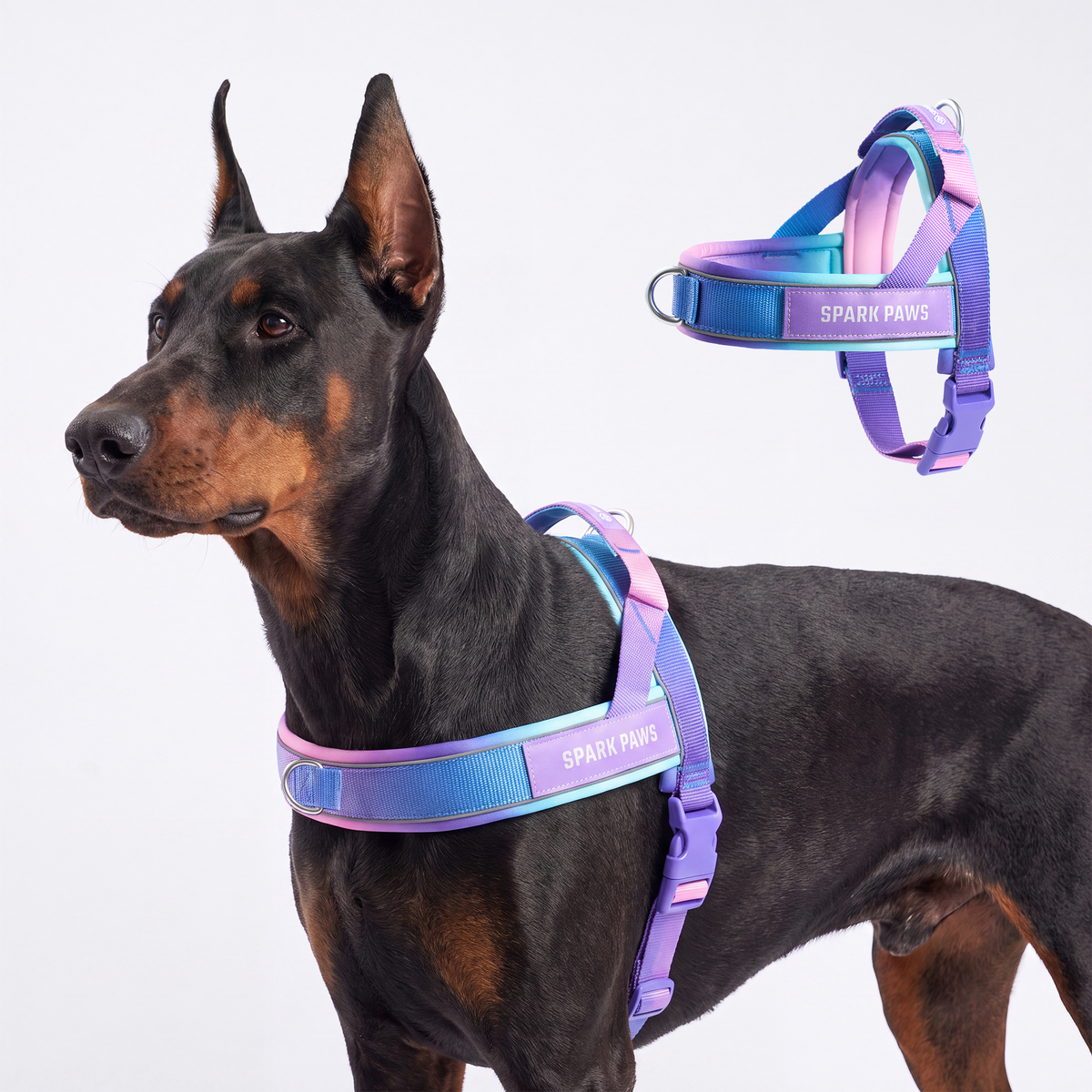 Grab & Go Harness