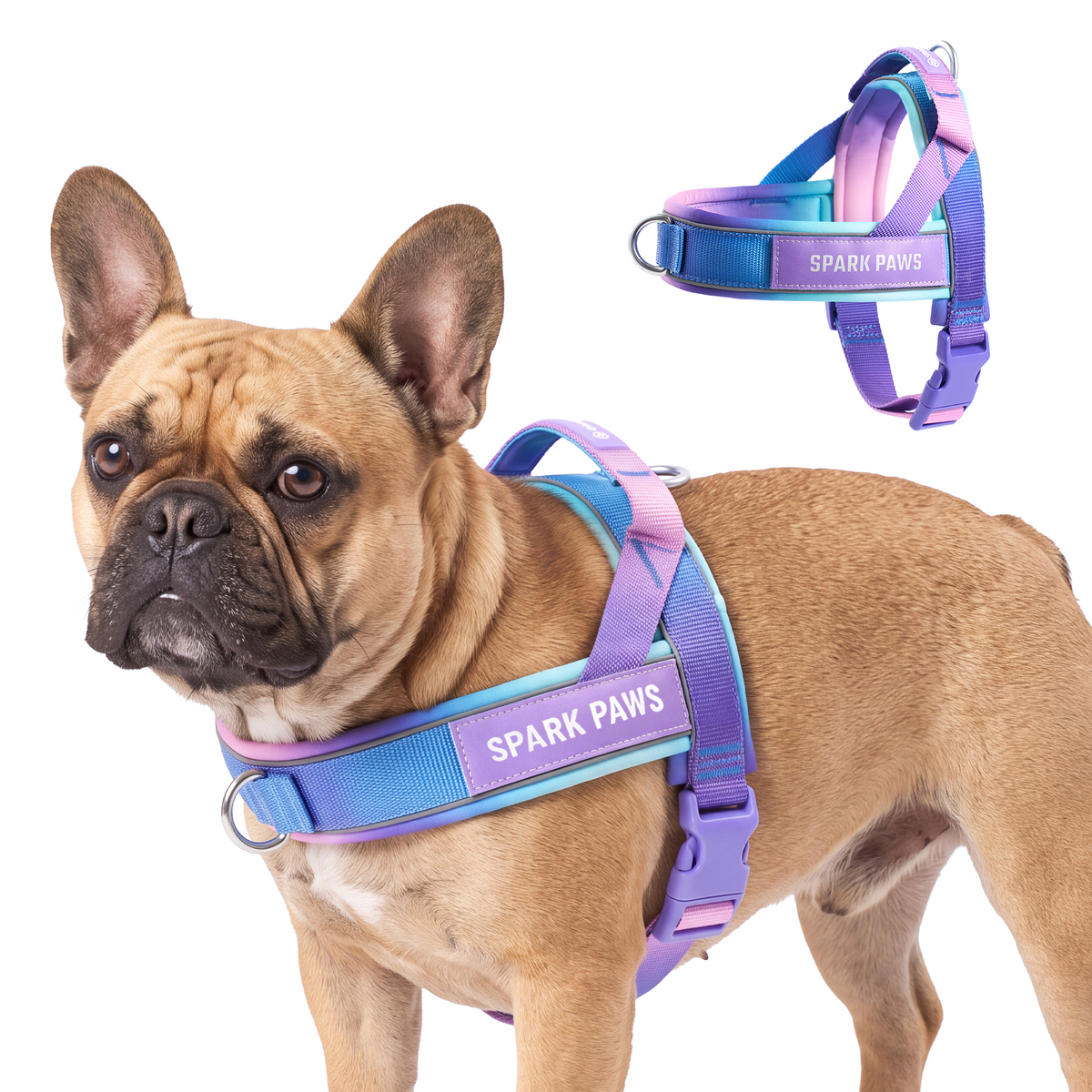 Grab & Go Harness