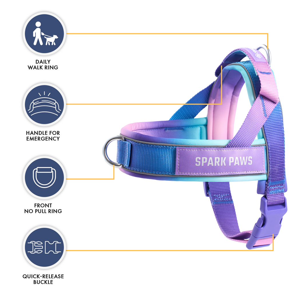Grab & Go Harness