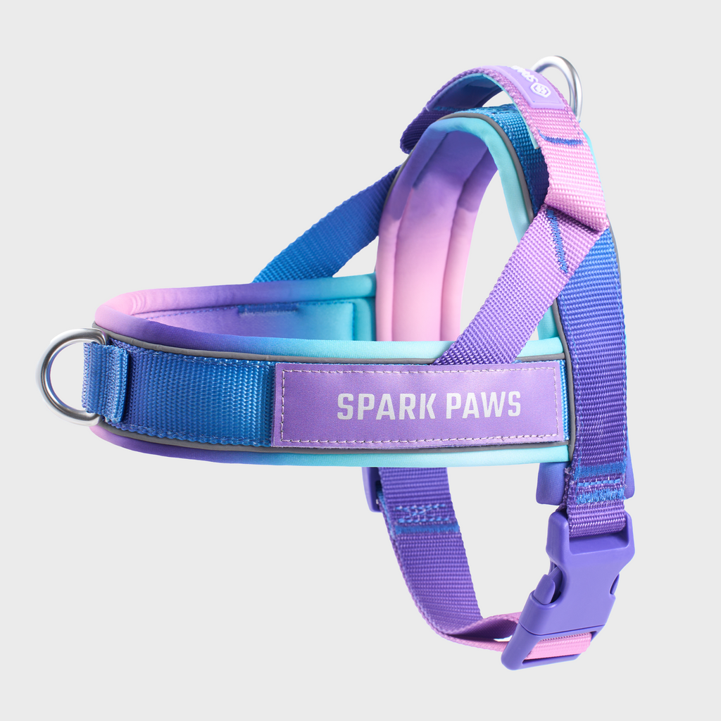 Grab & Go Harness