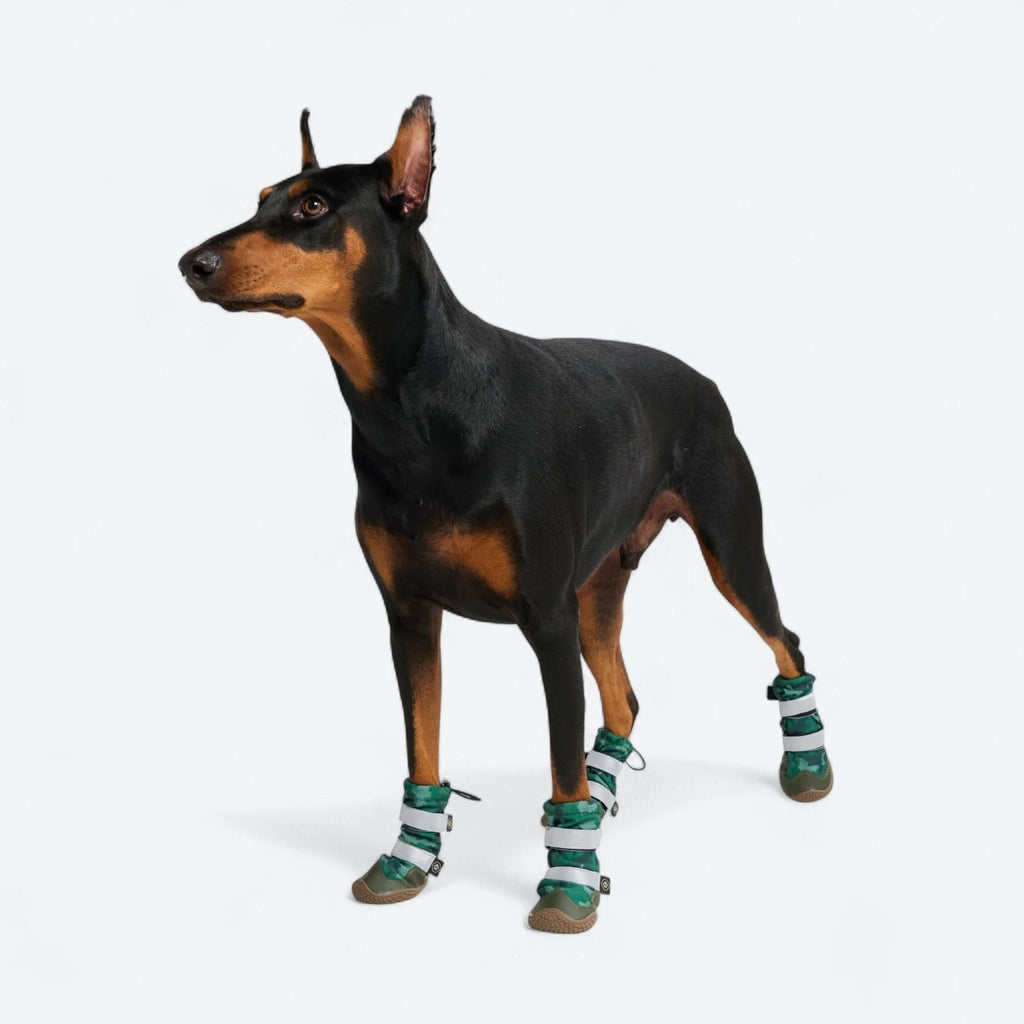 Dog Rainboots. Waterproof Dog Shoes