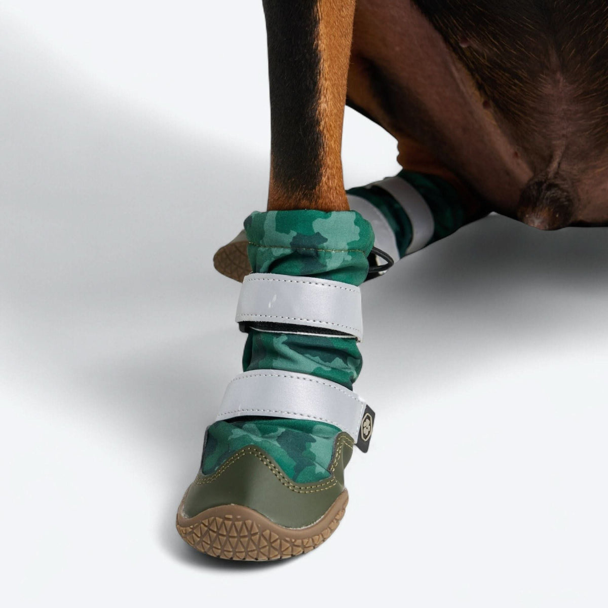 Dog Rainboots. Waterproof Dog Shoes