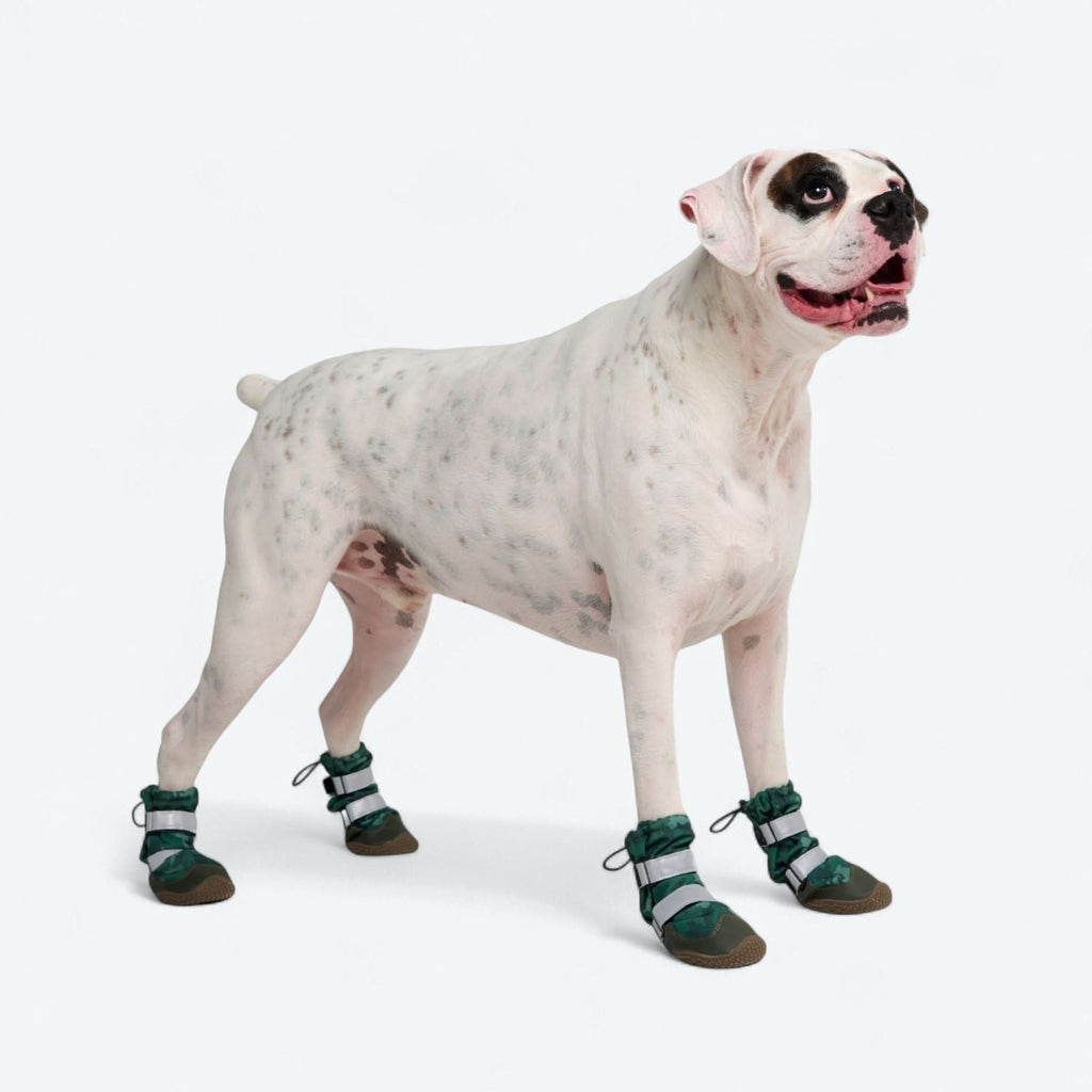 Dog Rainboots. Waterproof Dog Shoes