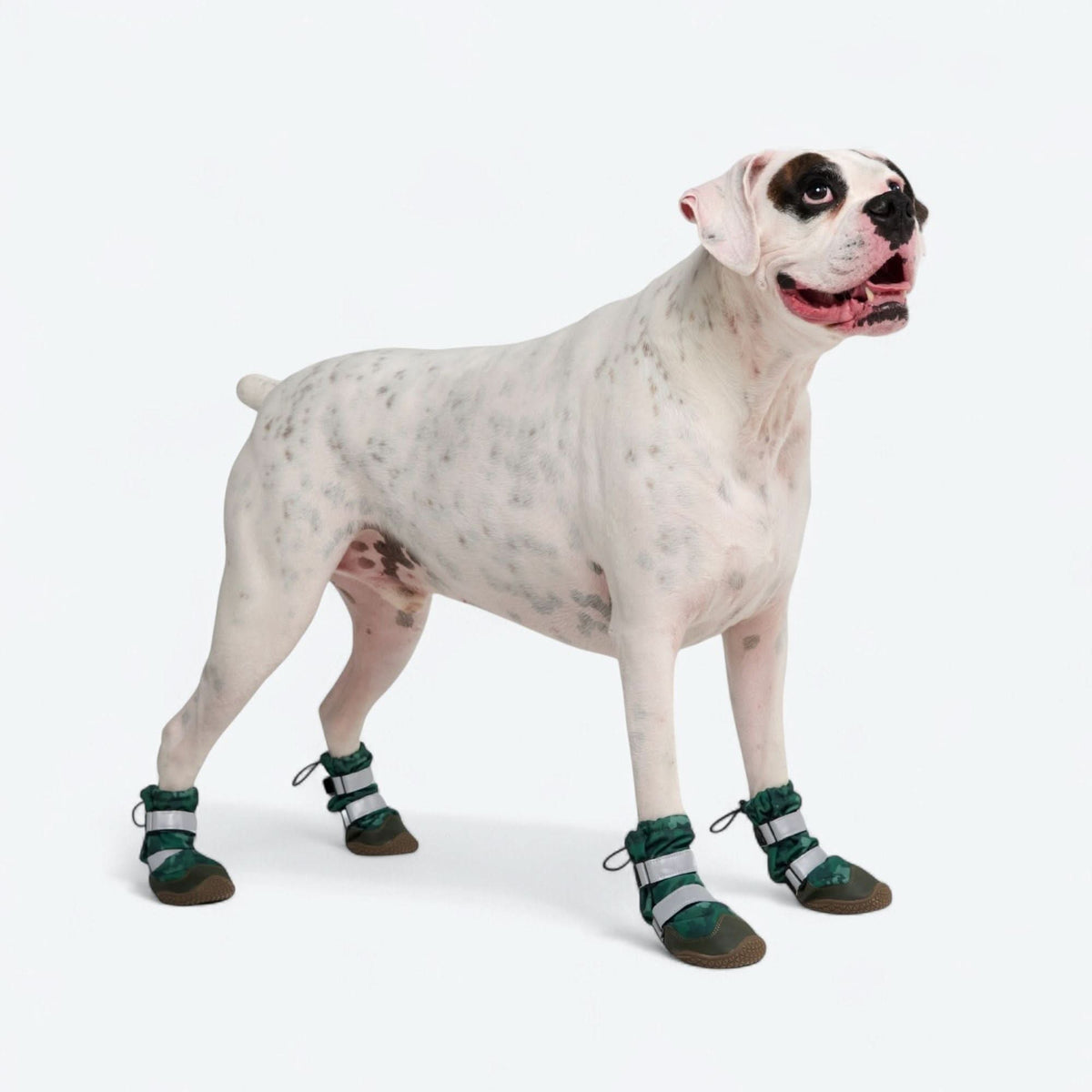 Dog Rainboots. Waterproof Dog Shoes