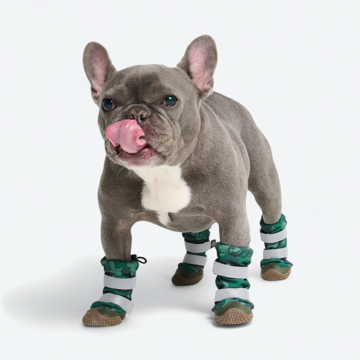 Dog Rainboots. Waterproof Dog Shoes
