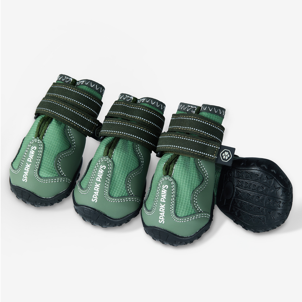 365 All-Season Dog Shoe 4PC Set