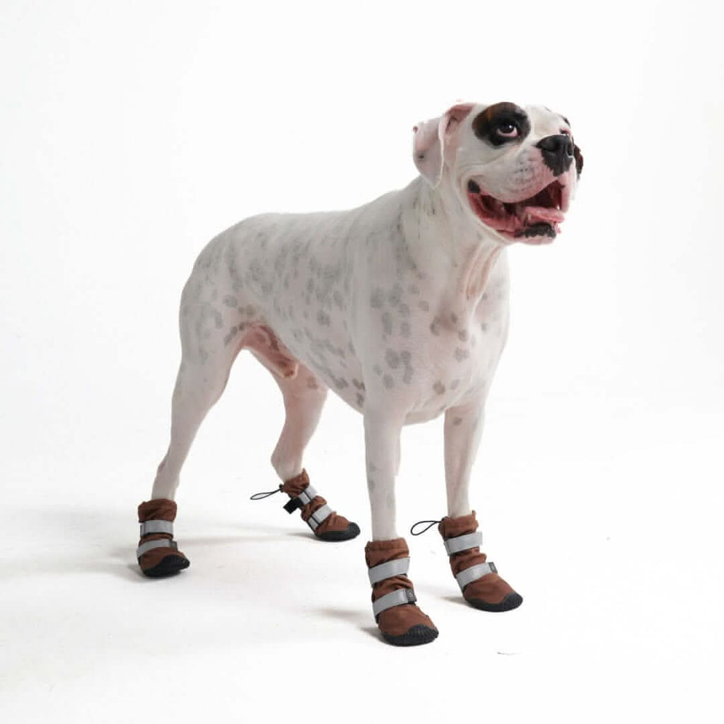 Dog Rainboots. Waterproof Dog Shoes