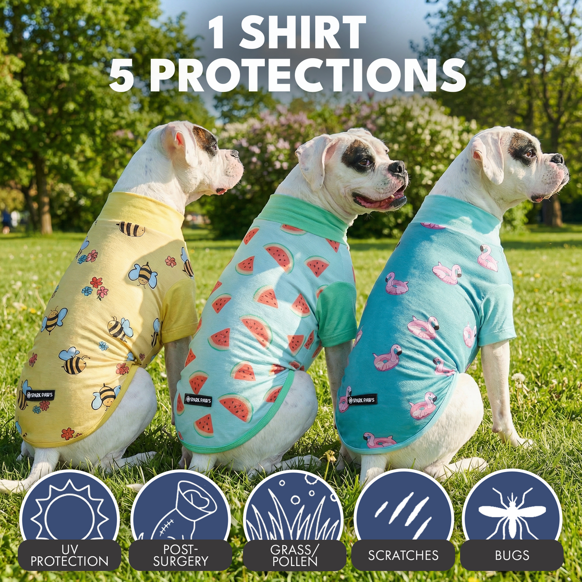 Sunblock T-Shirt 3 Pack