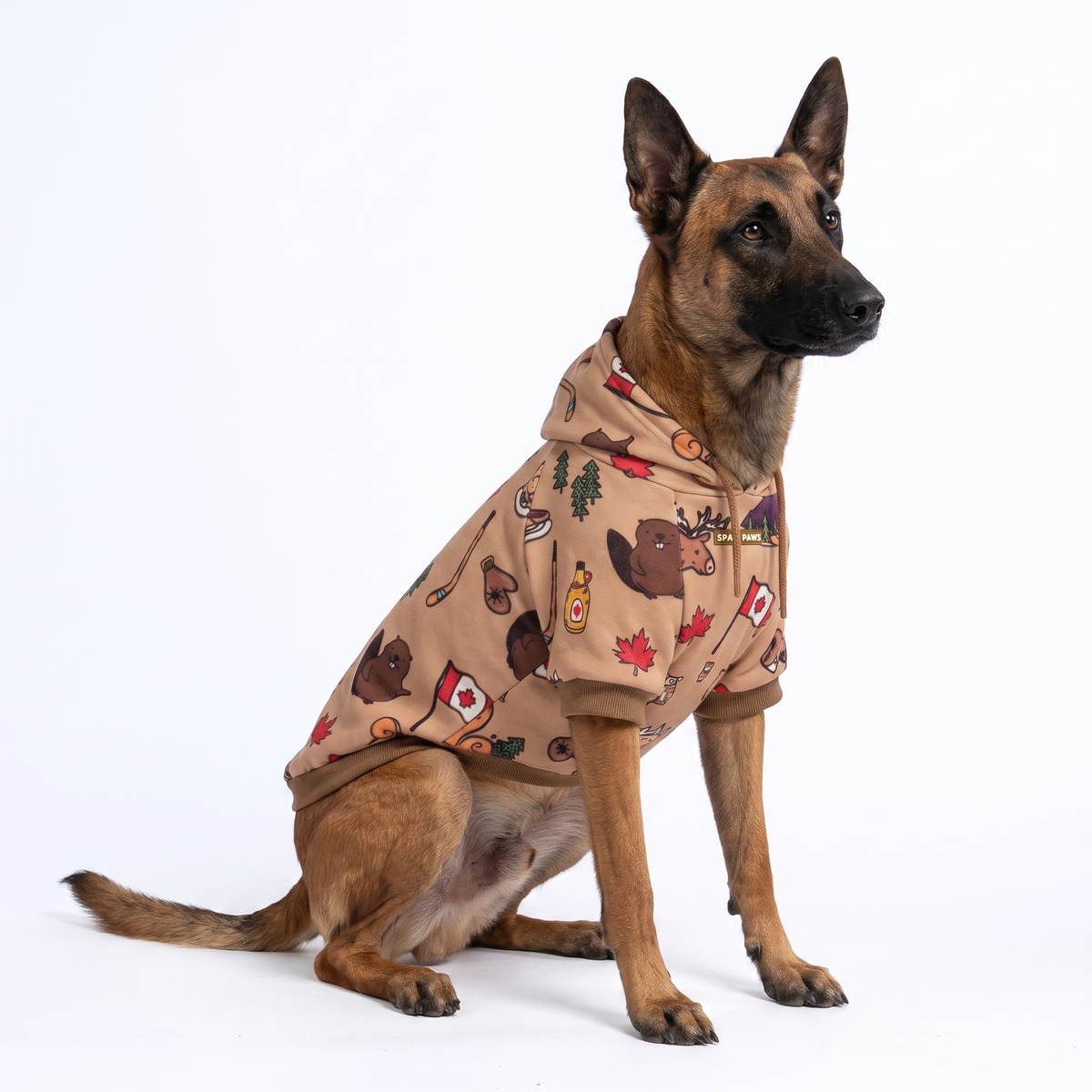 Around the World Dog Hoodies