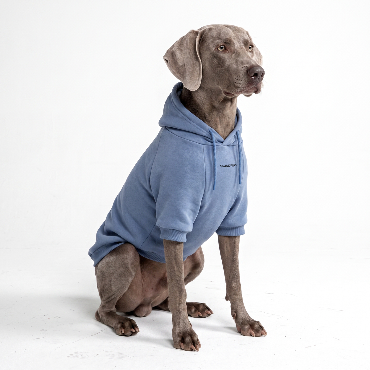 Essential Dog Hoodies