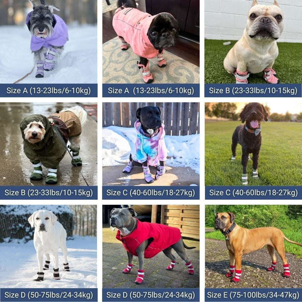 Dog Rainboots. Waterproof Dog Shoes