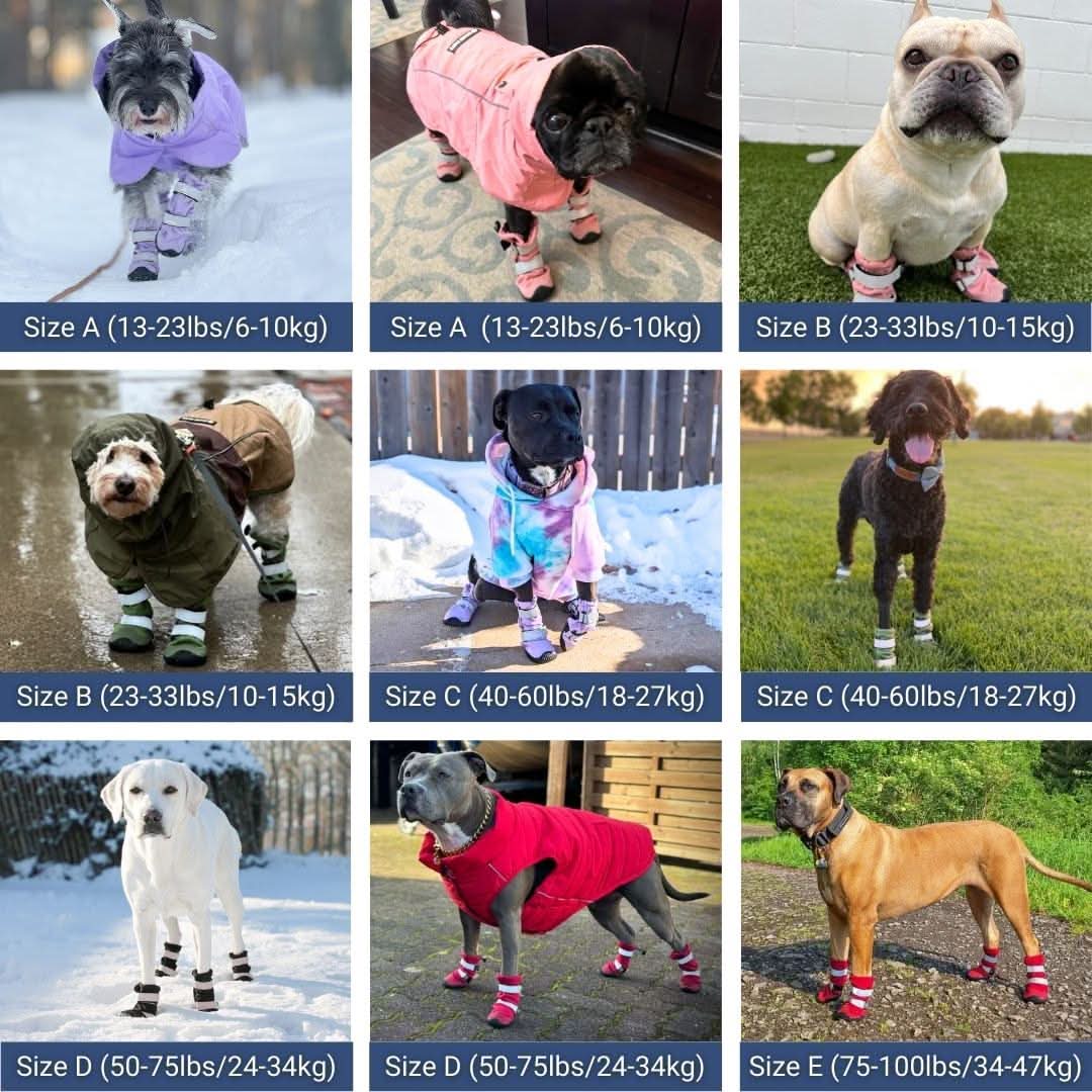 Dog Rainboots. Waterproof Dog Shoes