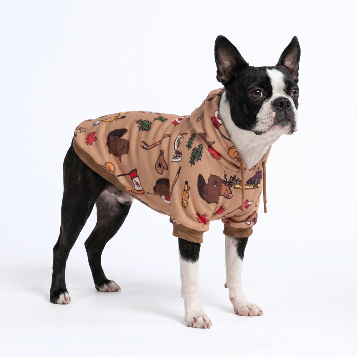 Around the World Dog Hoodies