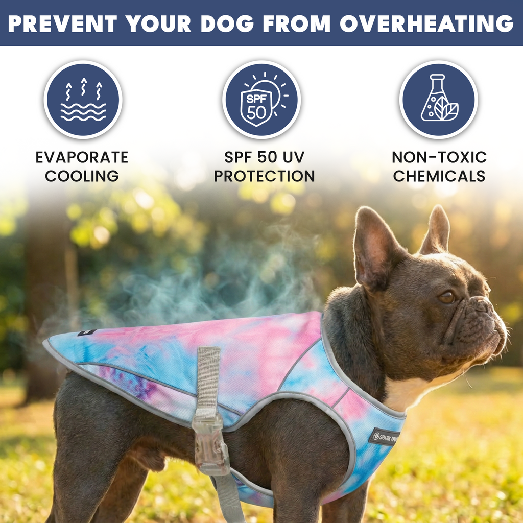 Chilltech™ Dog Cooling Vest 2 Pack