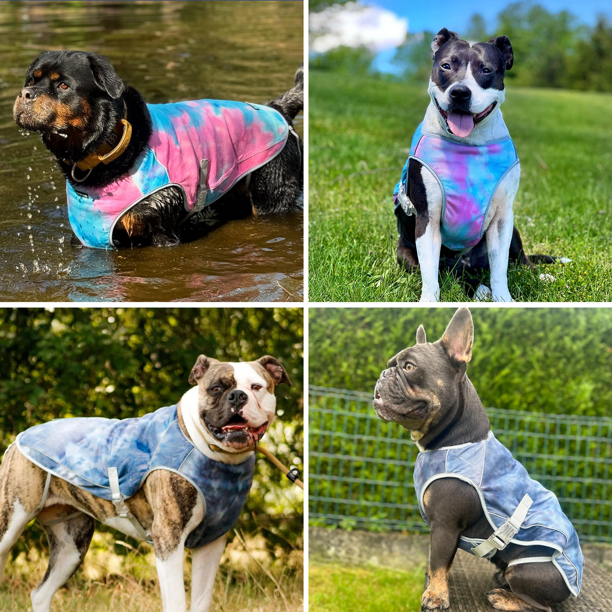 Chilltech™ Dog Cooling Vest 2 Pack