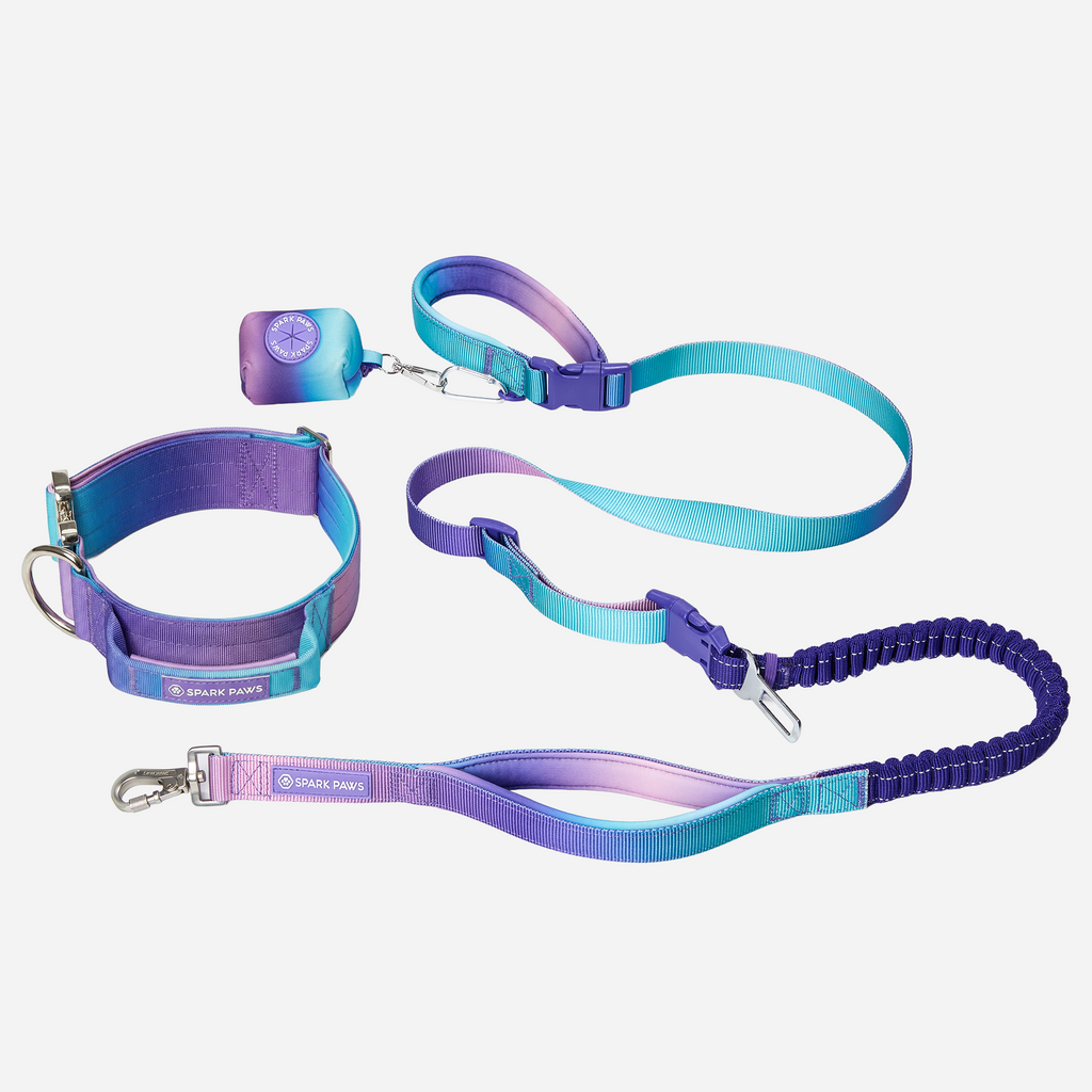 Comfort Control Collar and Multipurpose Leash Sets