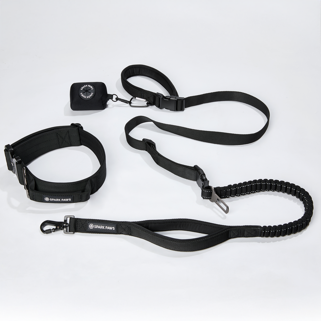 Comfort Control Collar and Multipurpose Leash Sets